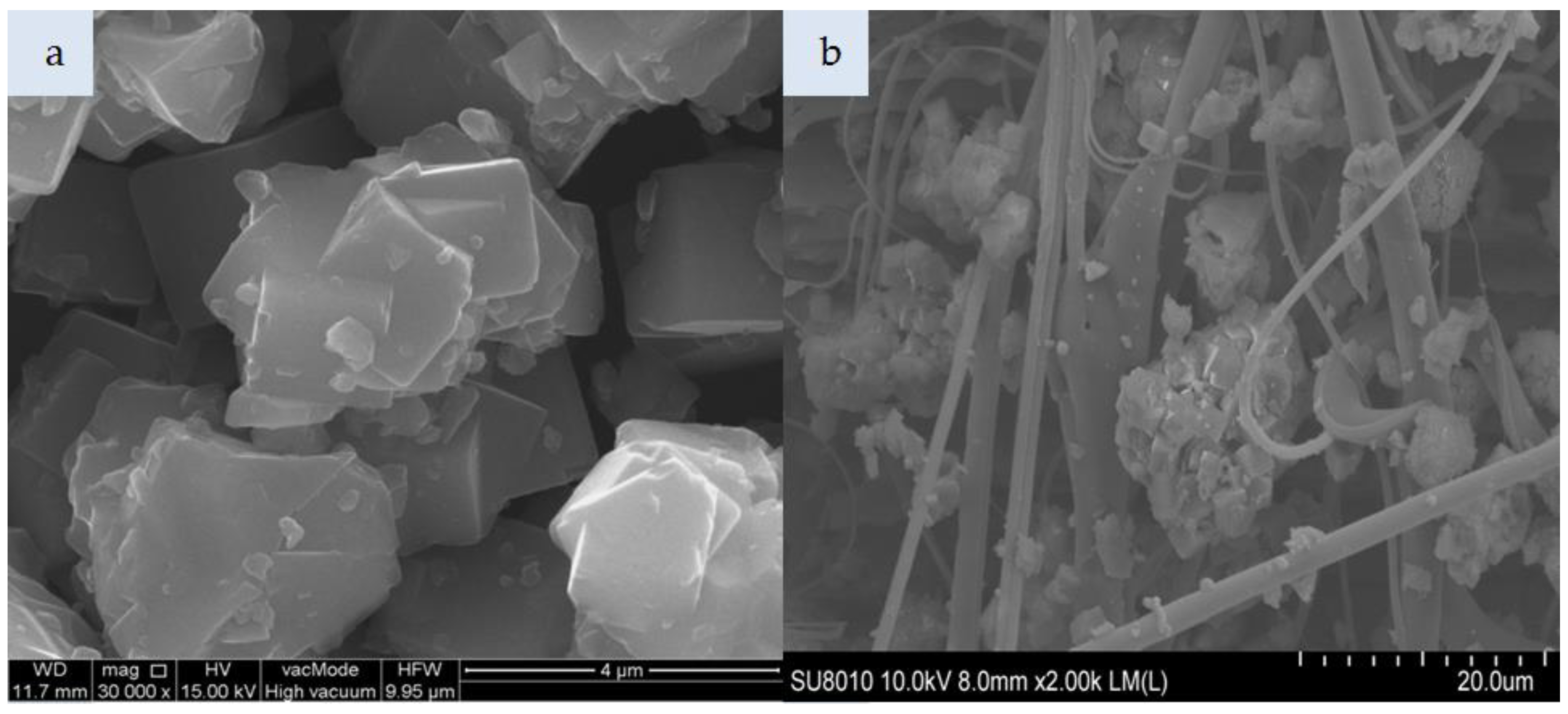 Applsci 09 00515 g005