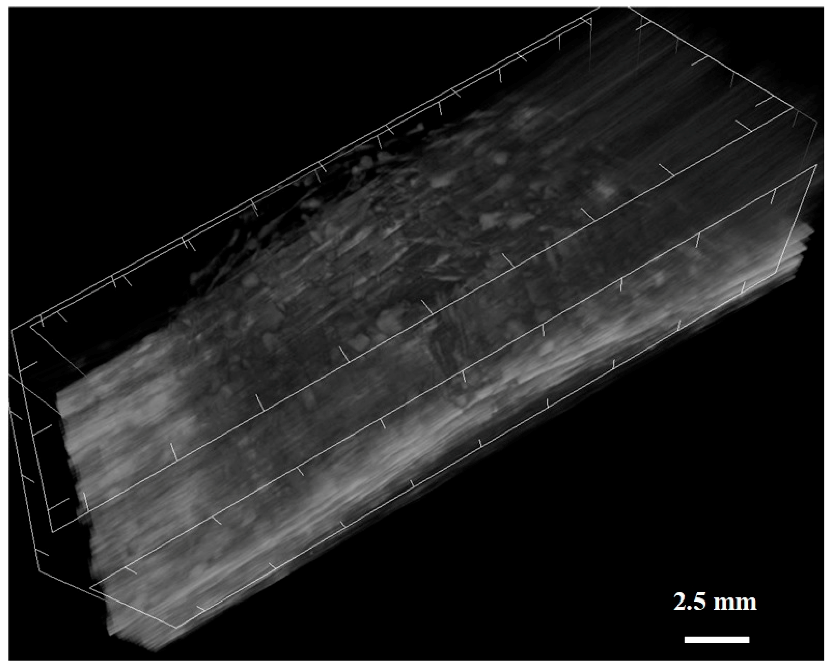 Applsci 09 00516 g005 Applsci 09 00516 g005