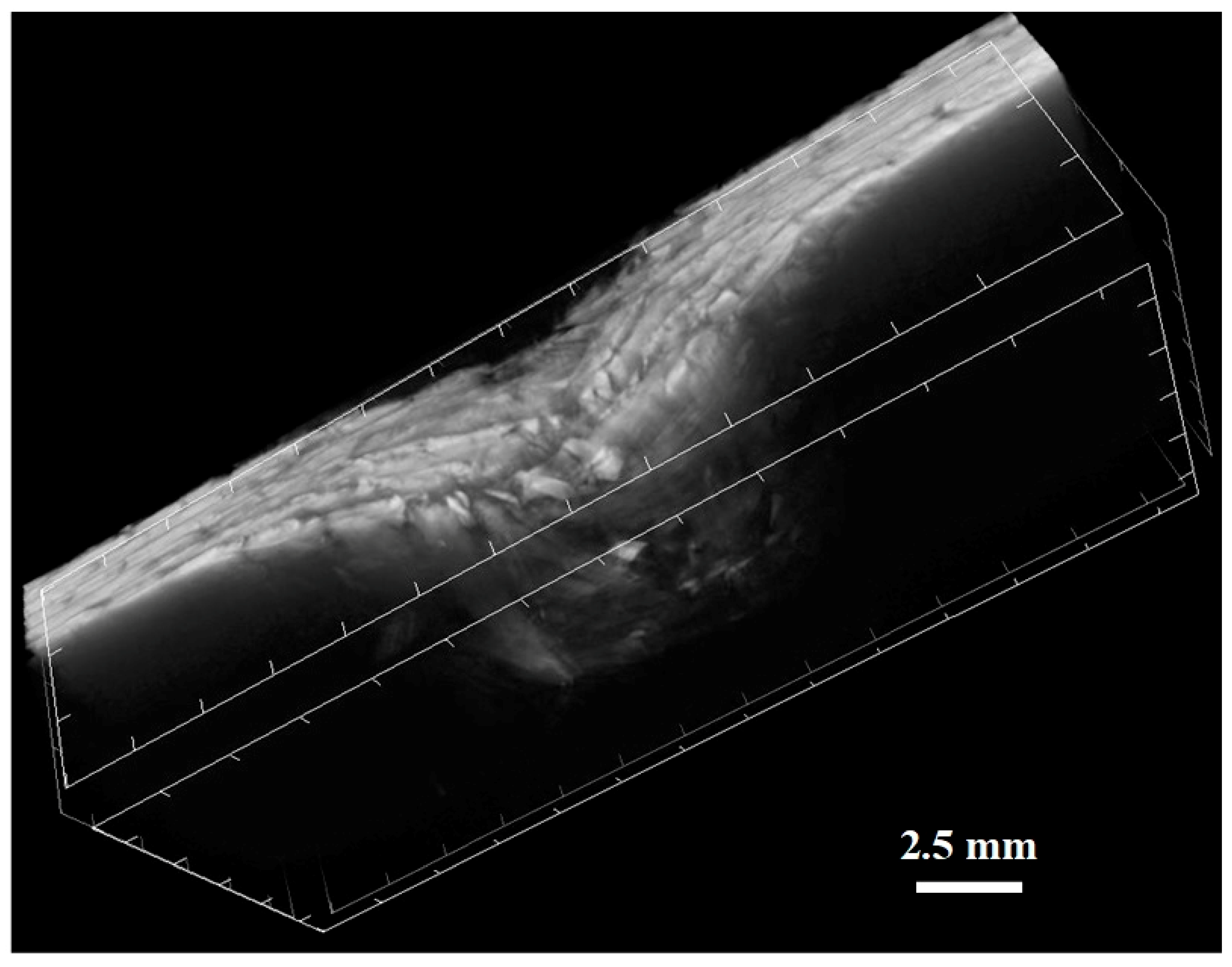 Applsci 09 00516 g008 Applsci 09 00516 g008