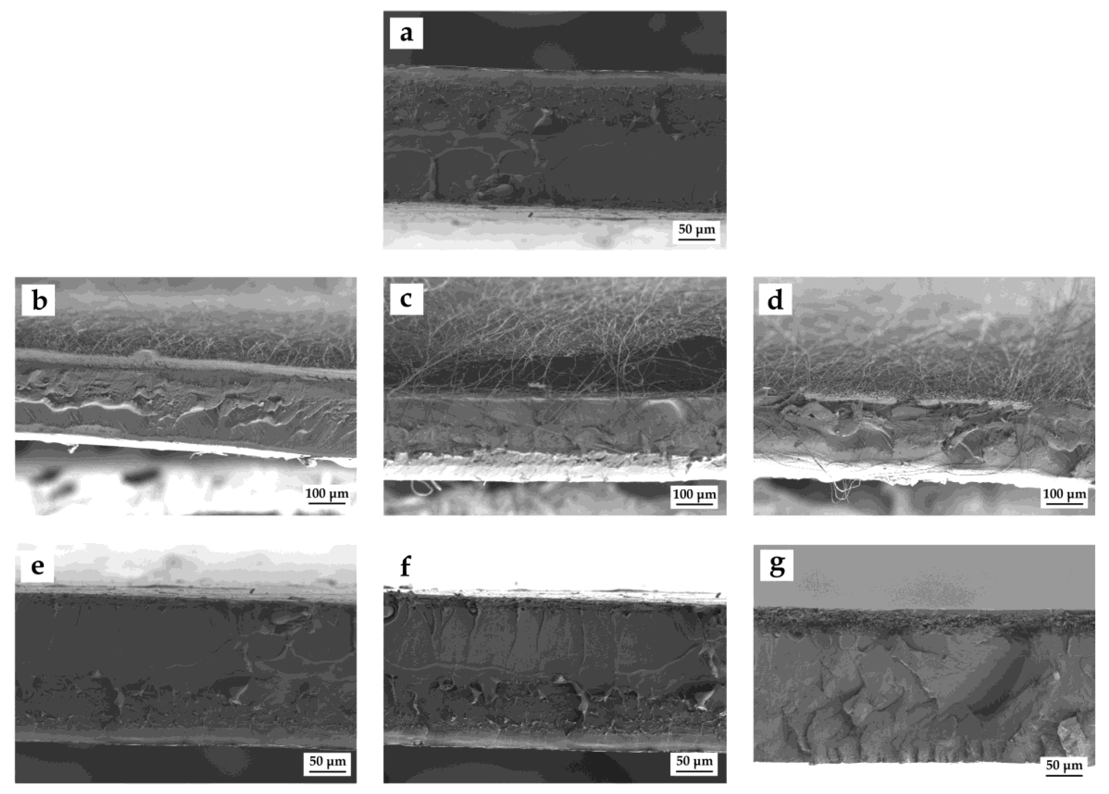 Applsci 09 00533 g002