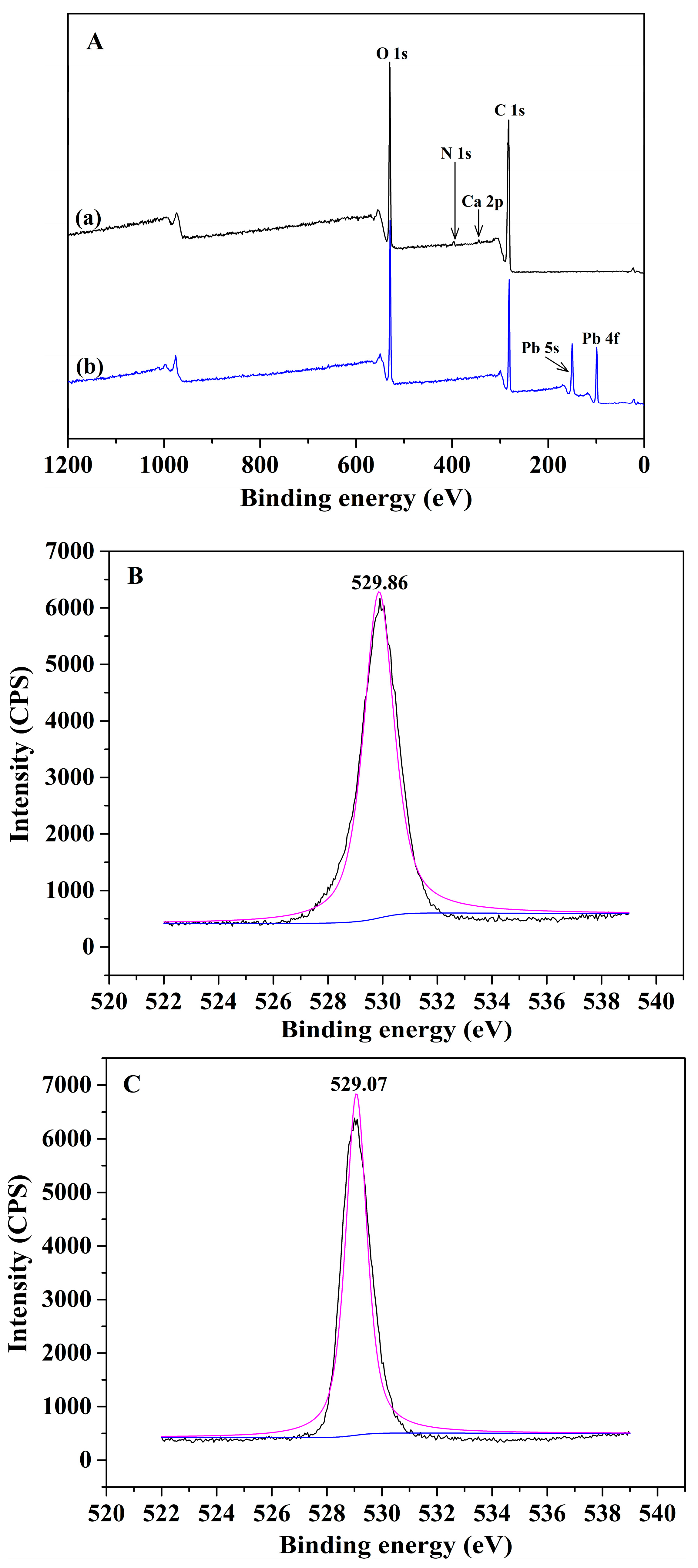 Applsci 09 00547 g010