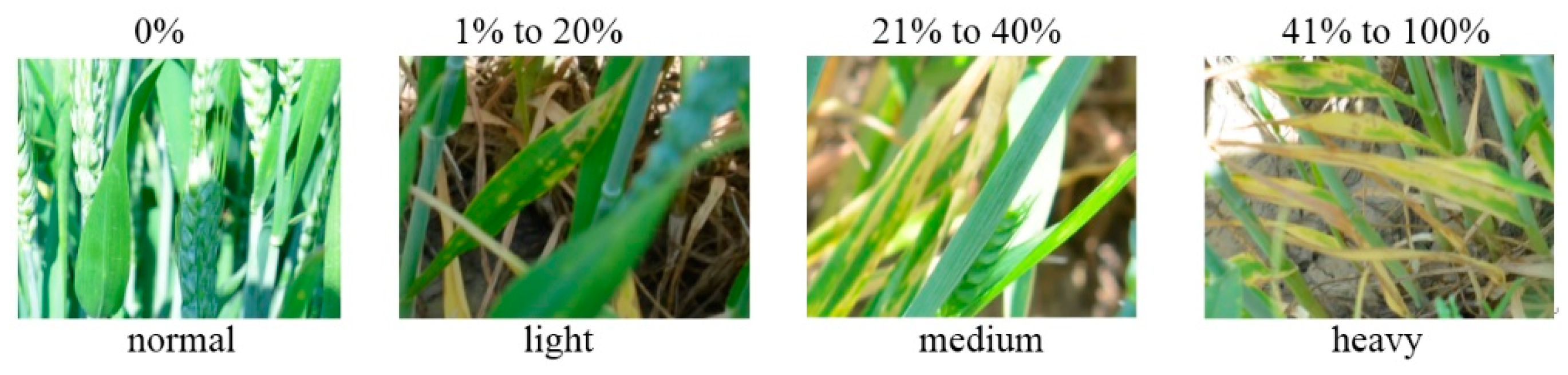 Applsci 09 00558 g004