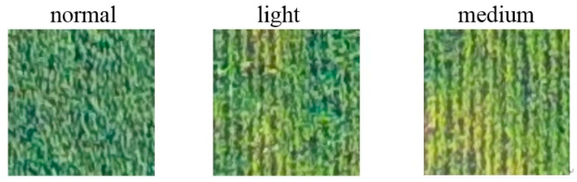 Applsci 09 00558 g006