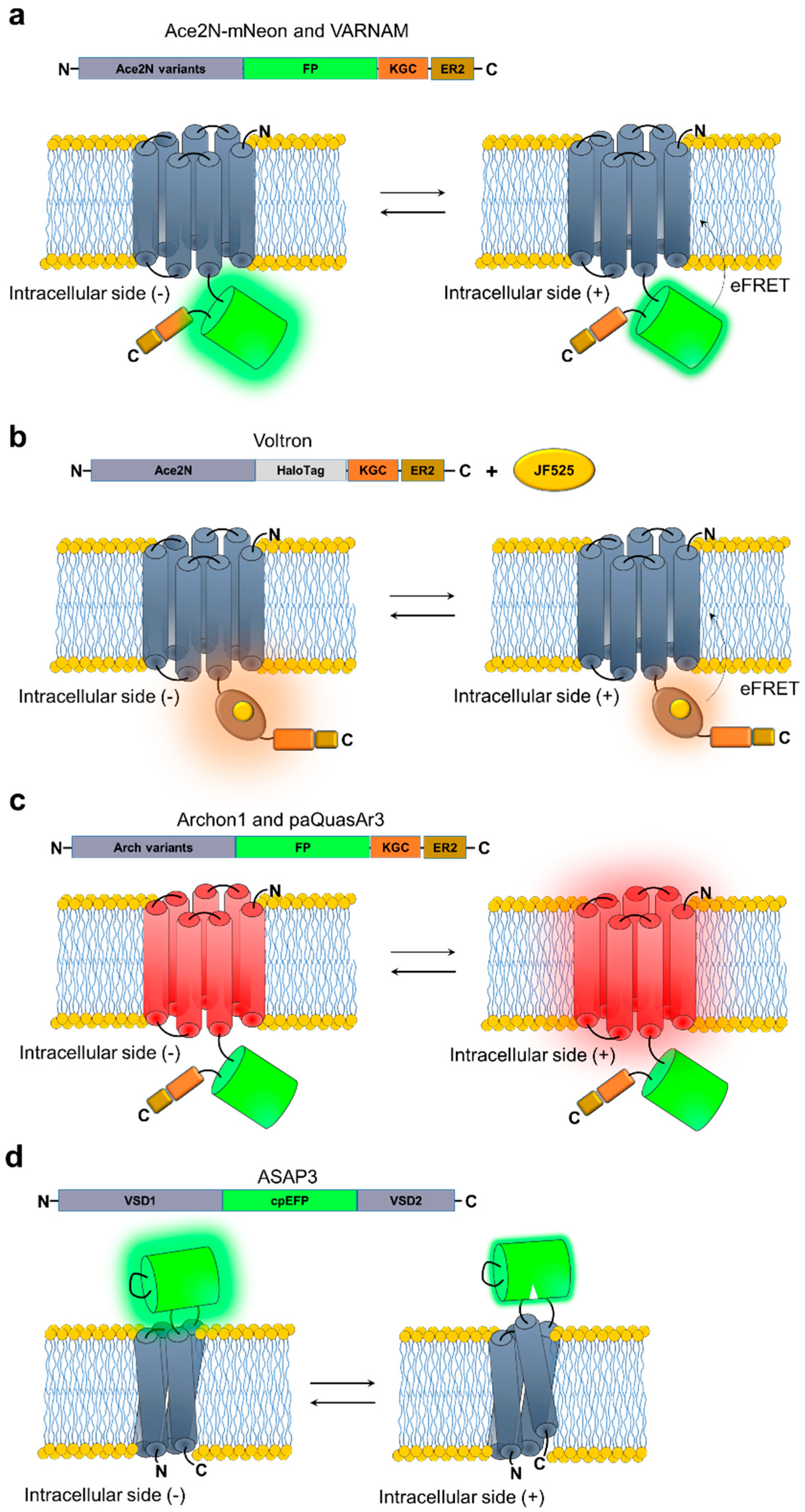 Applsci 09 00562 g002