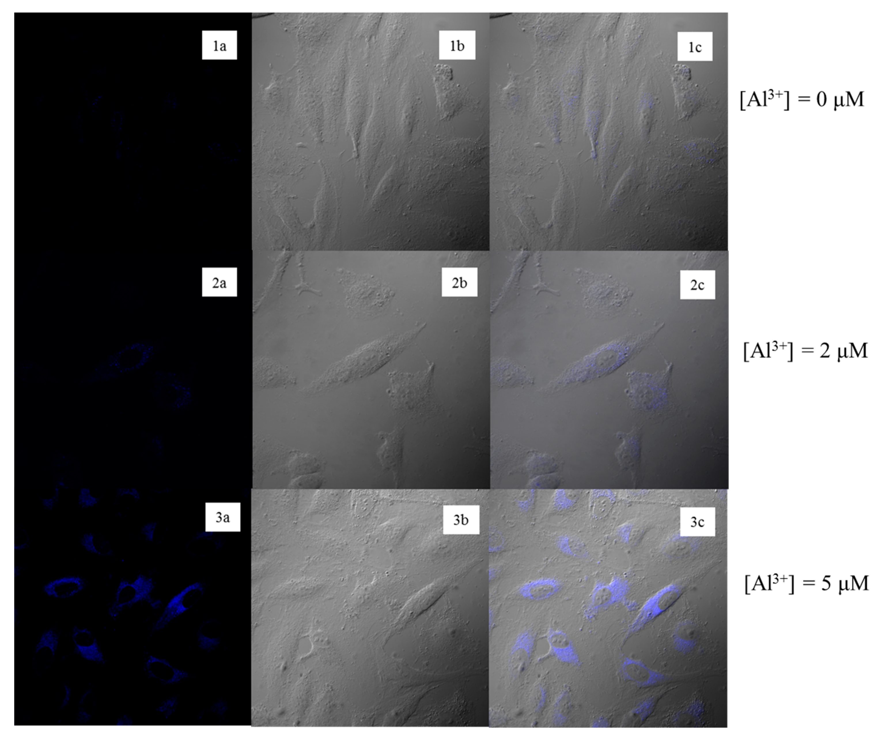Applsci 09 00577 g005