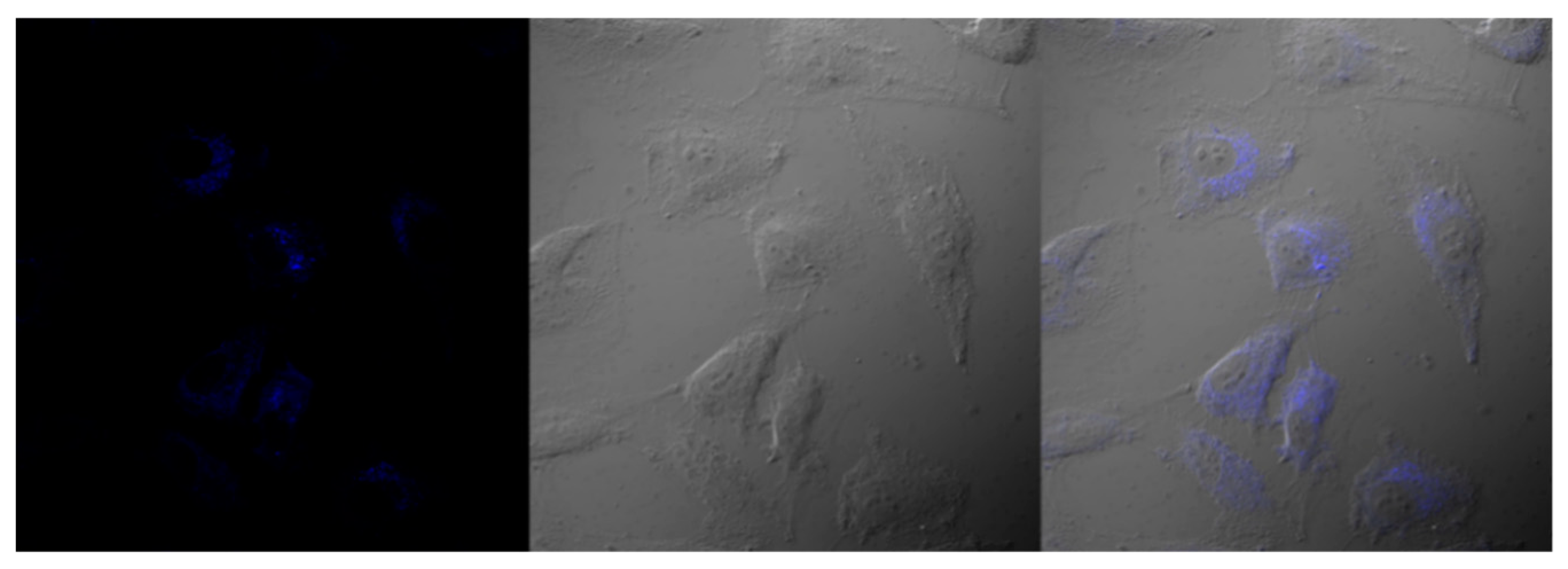 Applsci 09 00577 g006