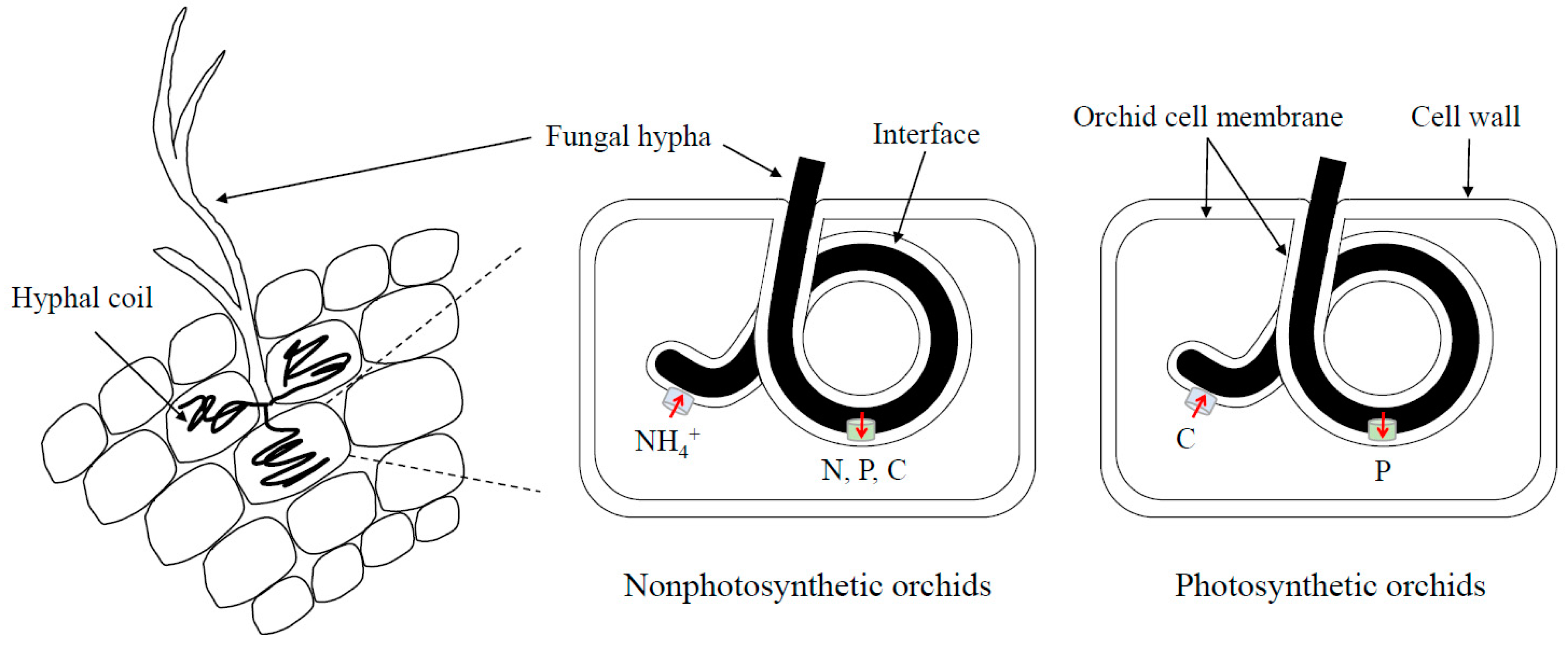 Applsci 09 00585 g001