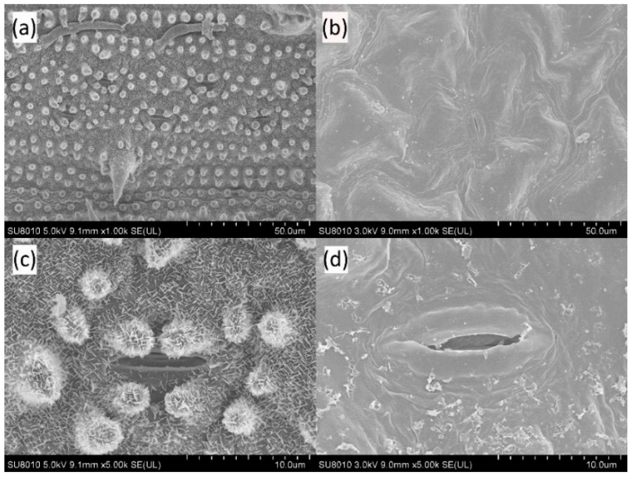 Applsci 09 00593 g007