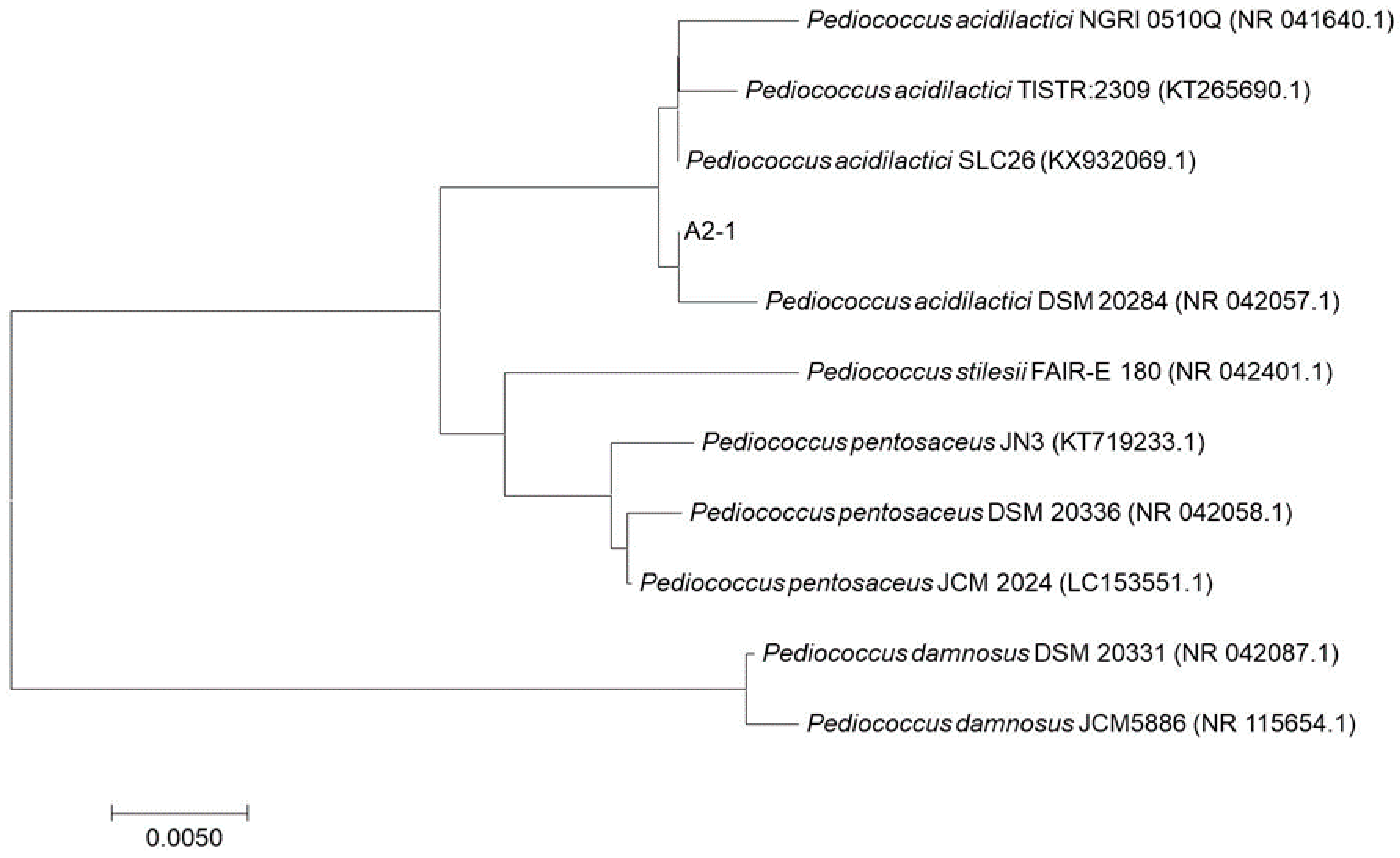 Applsci 09 00601 g002 Applsci 09 00601 g002