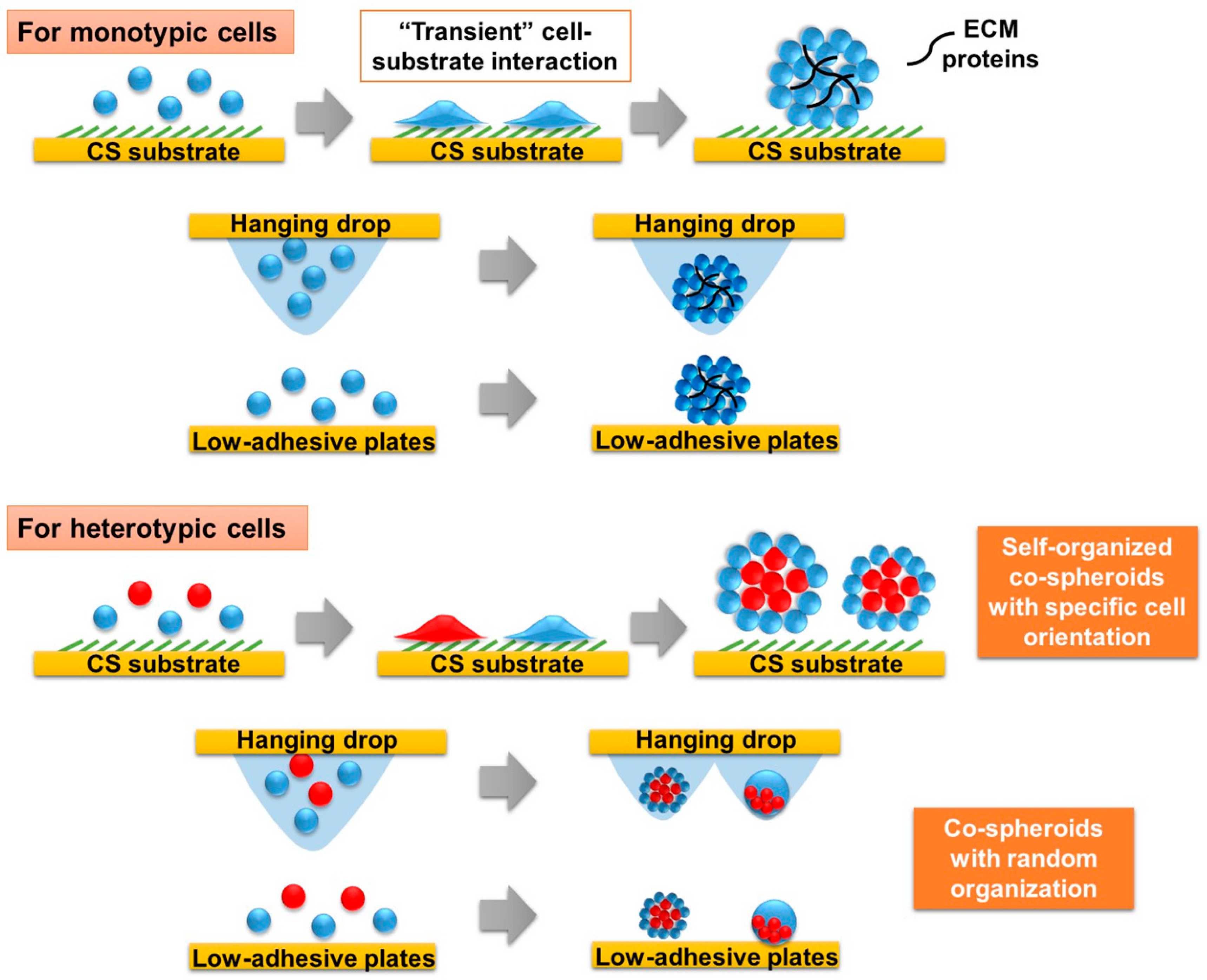 Applsci 09 00627 g001 Applsci 09 00627 g001