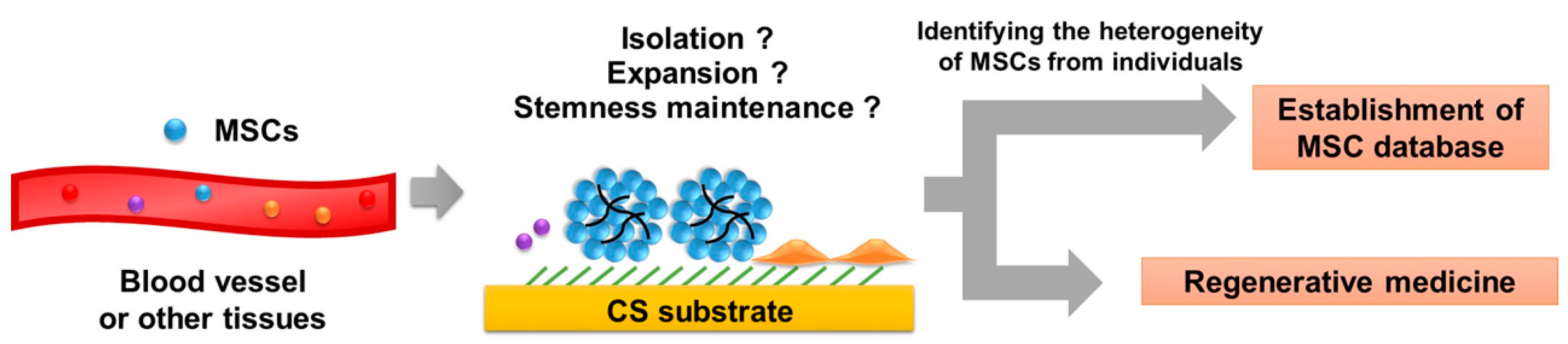 Applsci 09 00627 g002 Applsci 09 00627 g002