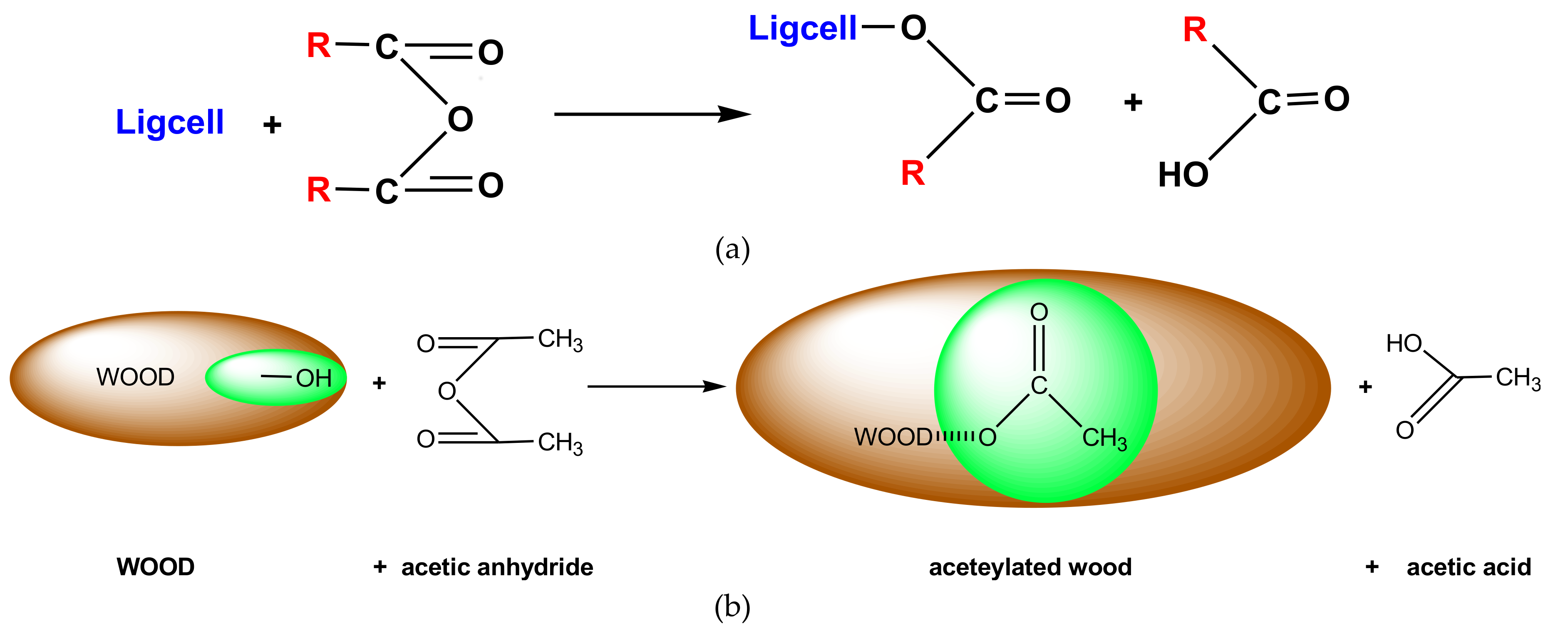 Applsci 09 00646 g001 Applsci 09 00646 g001