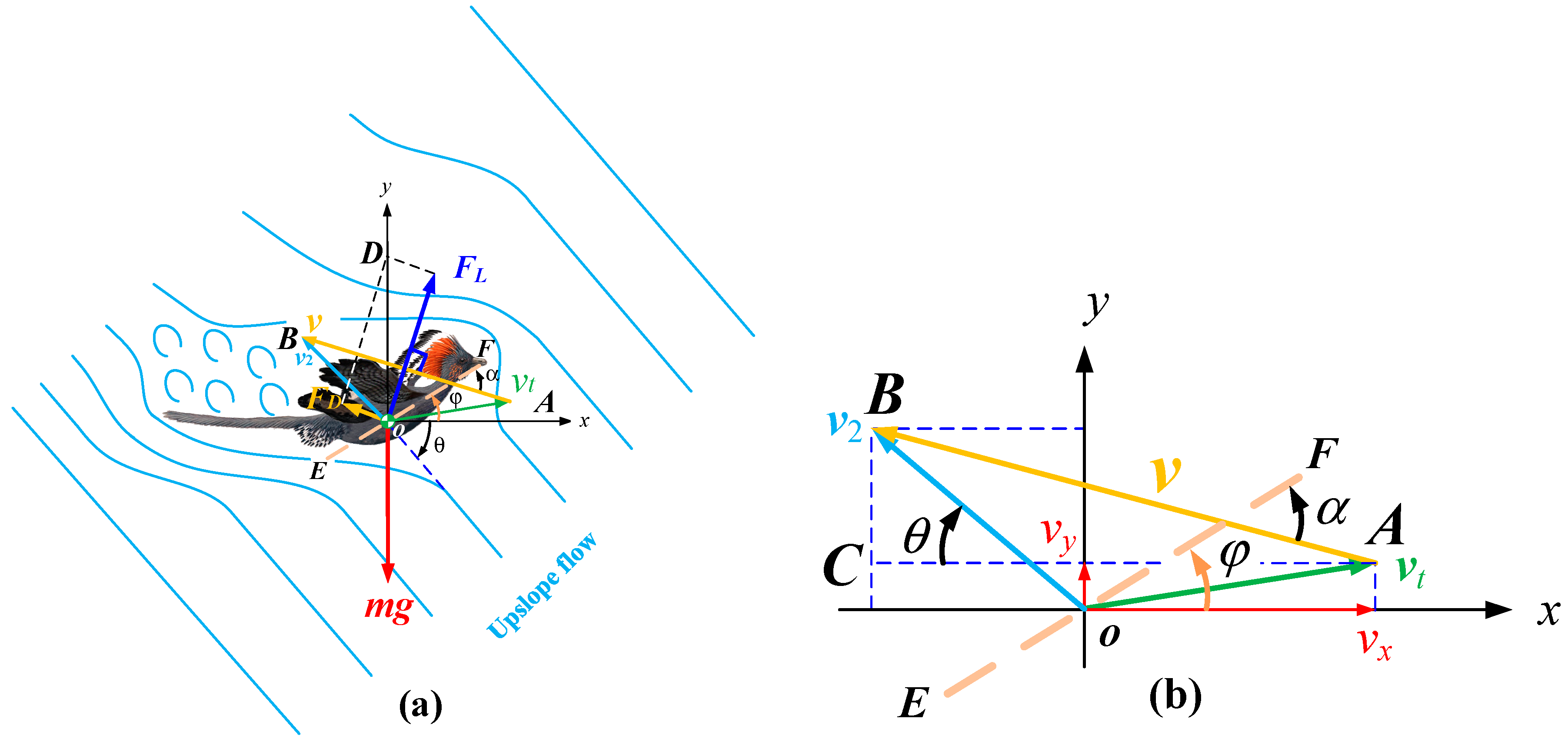 Applsci 09 00649 g002