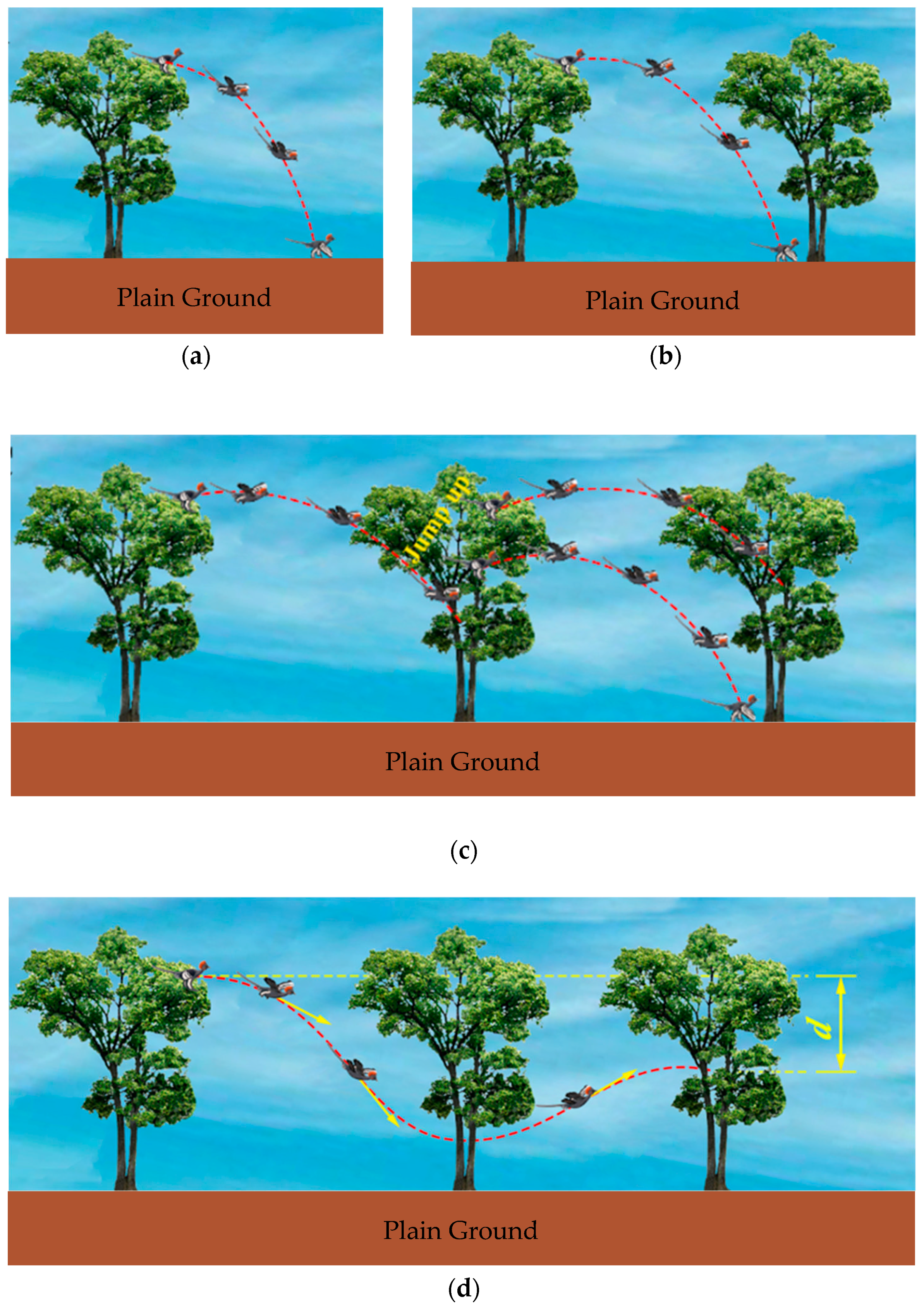 Applsci 09 00649 g008