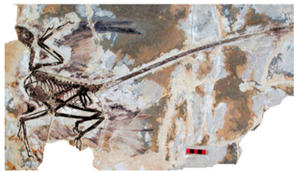 Applsci 09 00649 i004