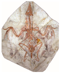 Applsci 09 00649 i005