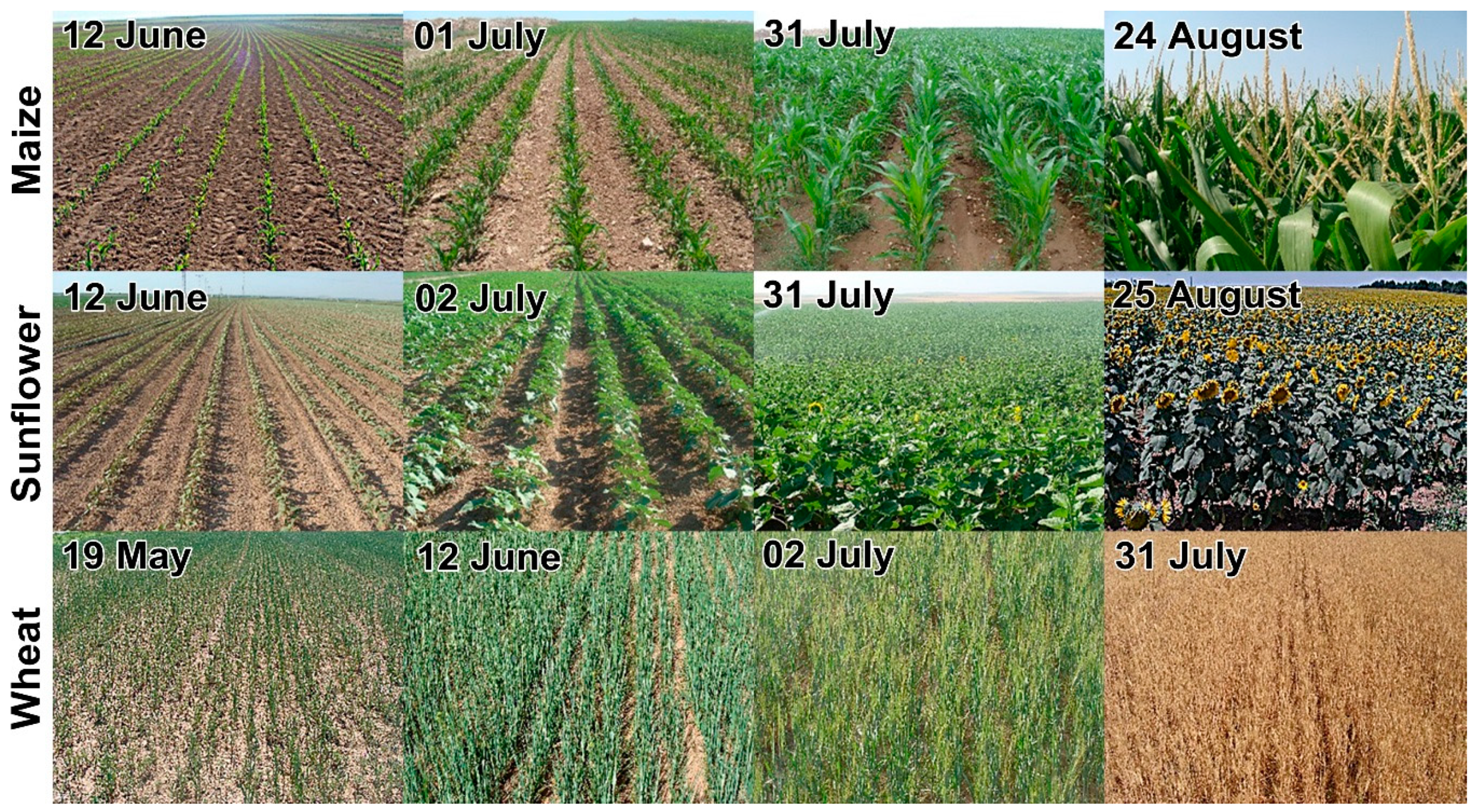 Applsci 09 00655 g005