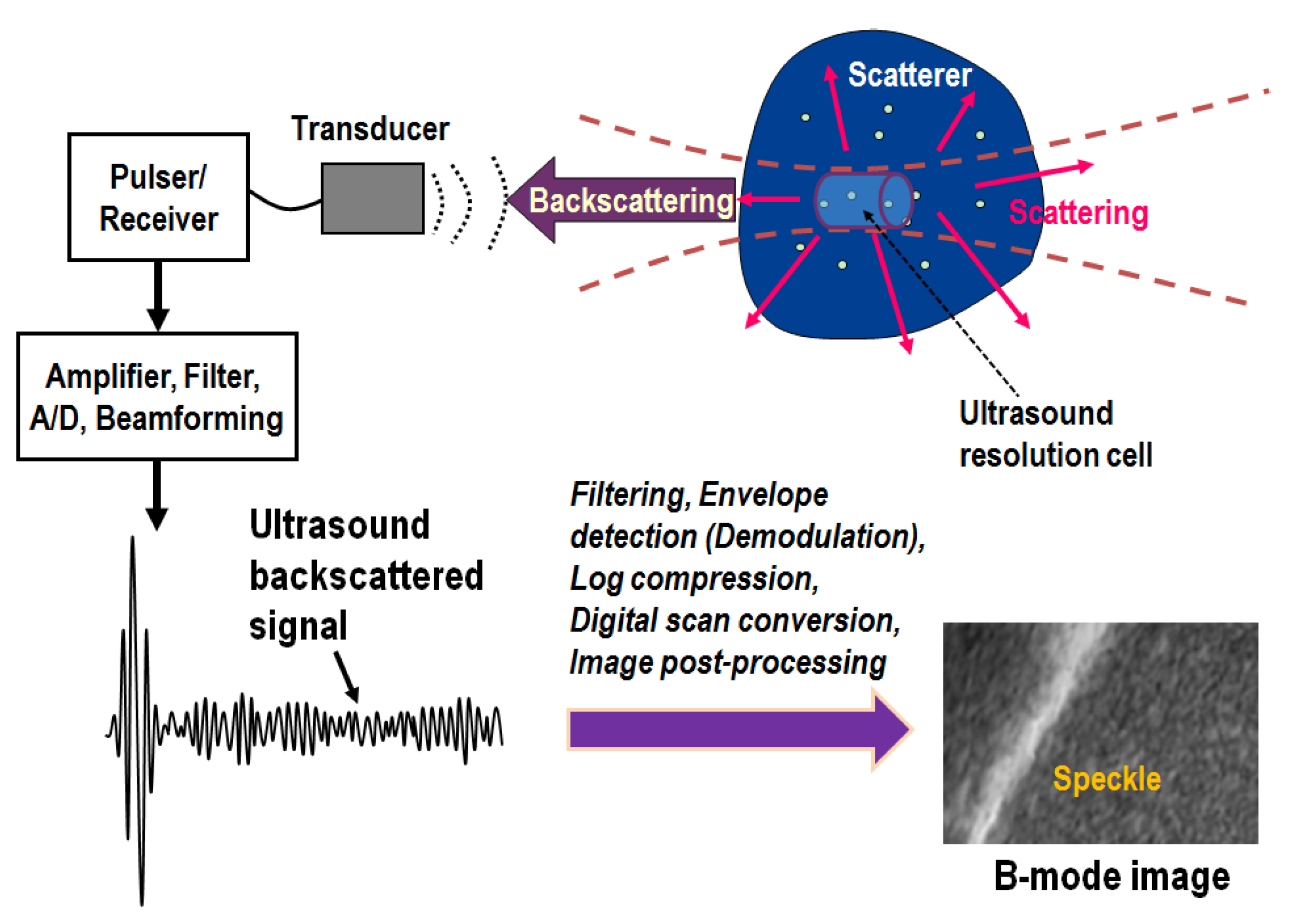 Applsci 09 00661 g001