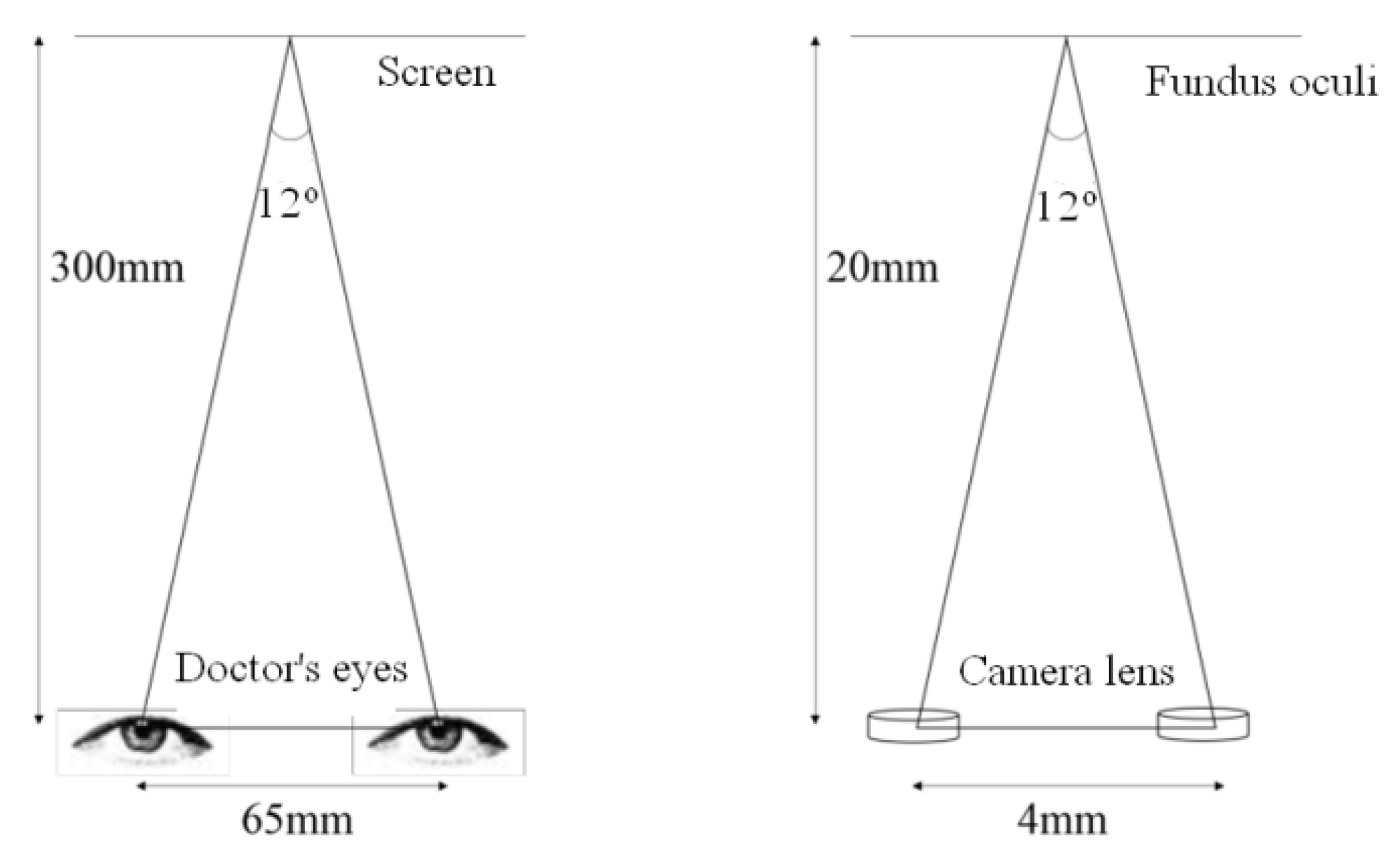 Applsci 09 00717 g008