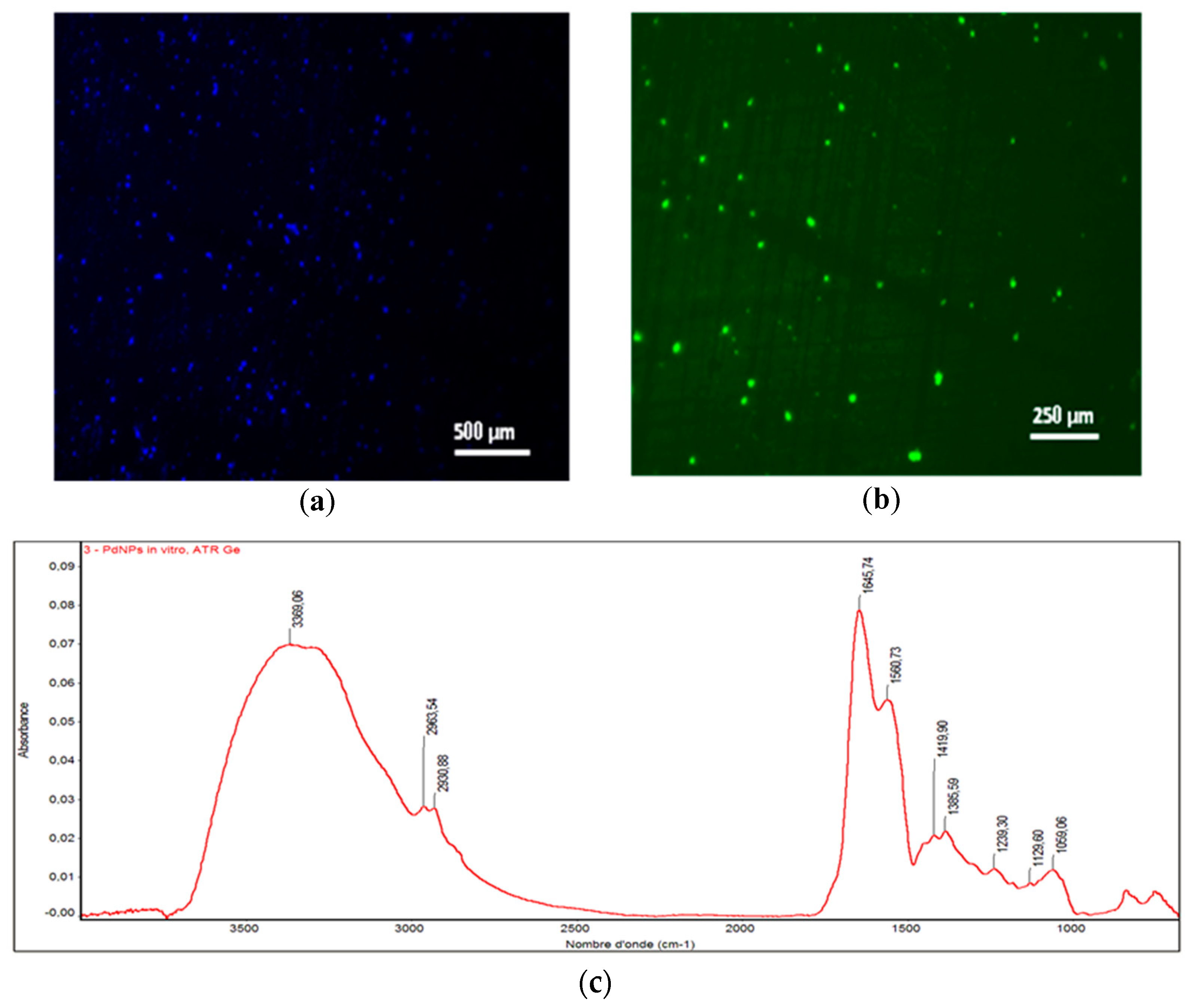 Applsci 09 00720 g003 Applsci 09 00720 g003