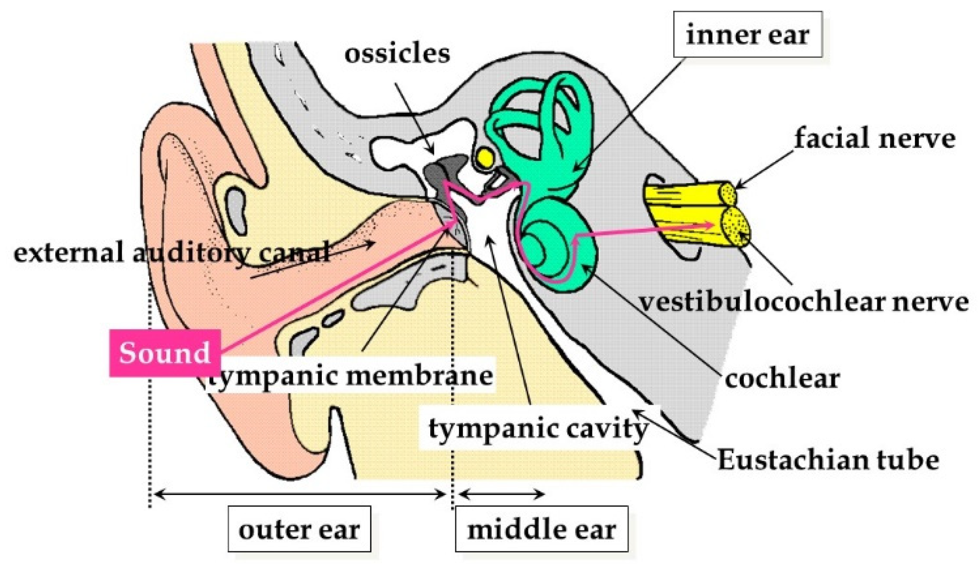 Applsci 09 00765 g001