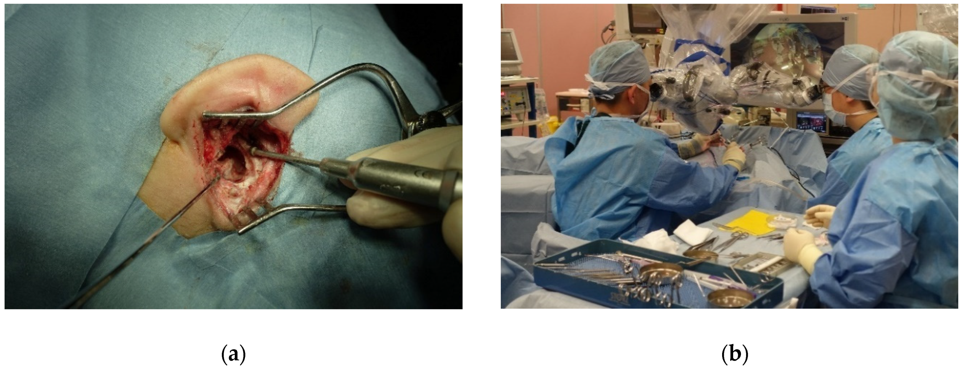 Applsci 09 00765 g004