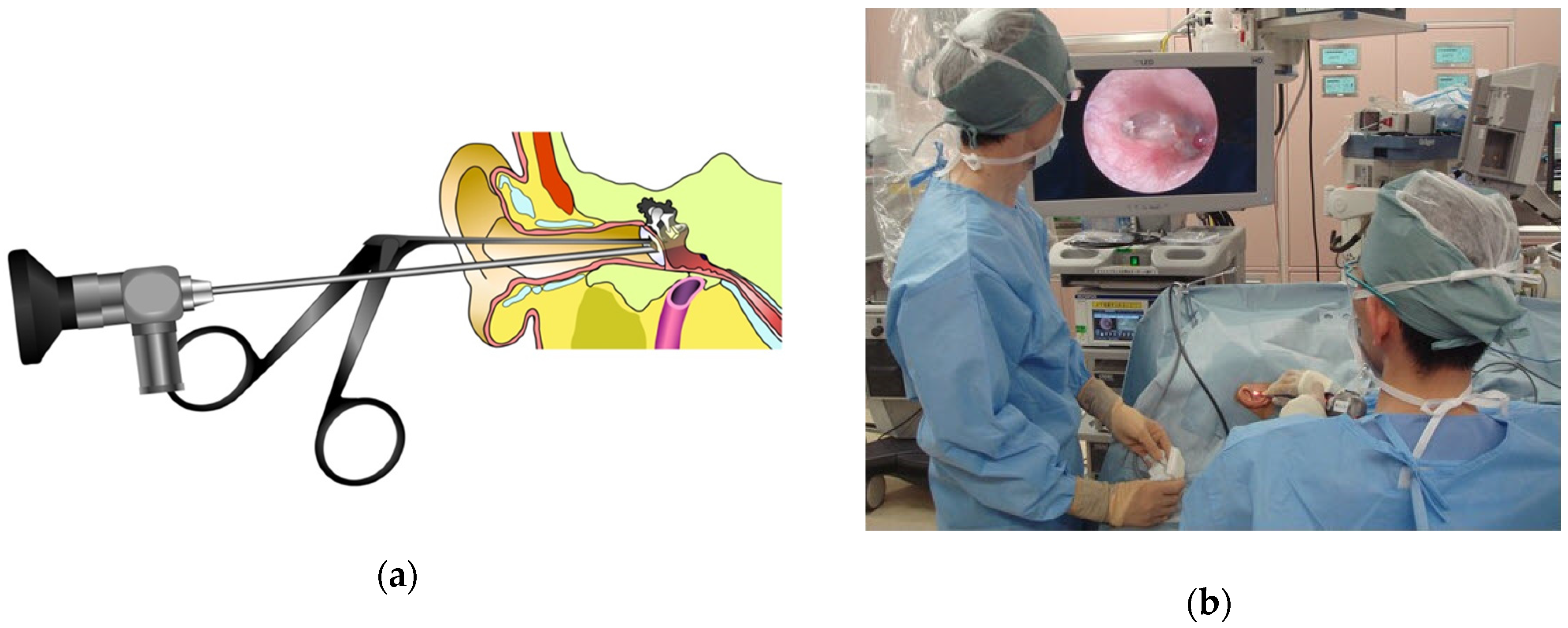 Applsci 09 00765 g005