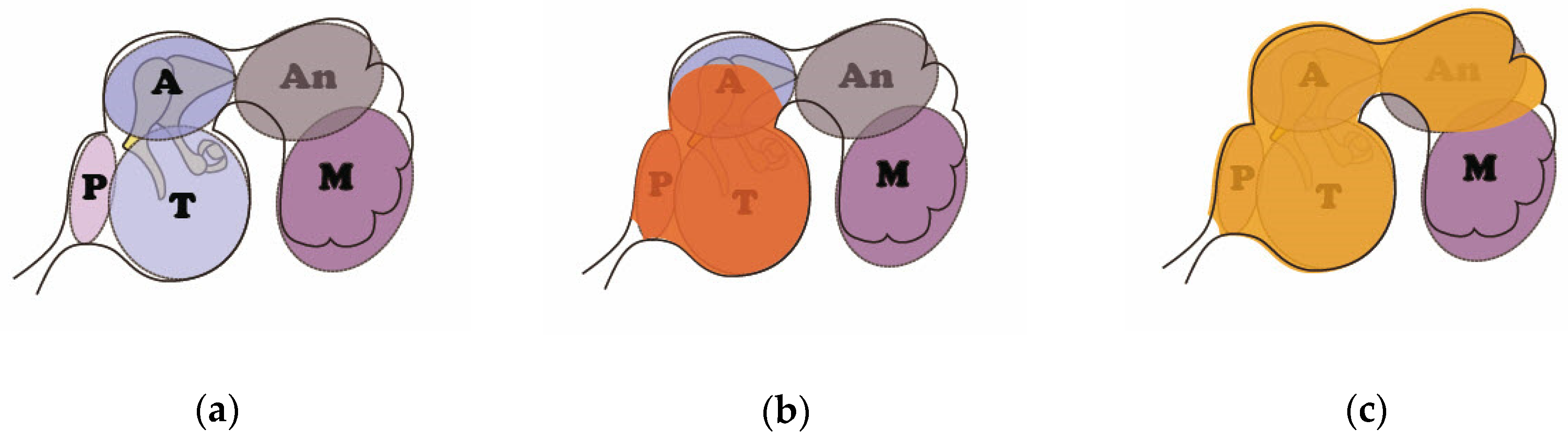 Applsci 09 00765 g006