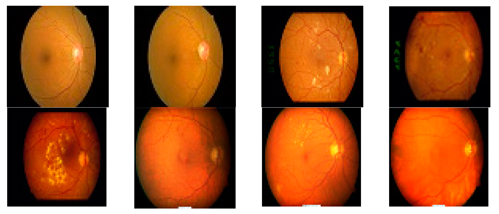 Applsci 09 00782 g013