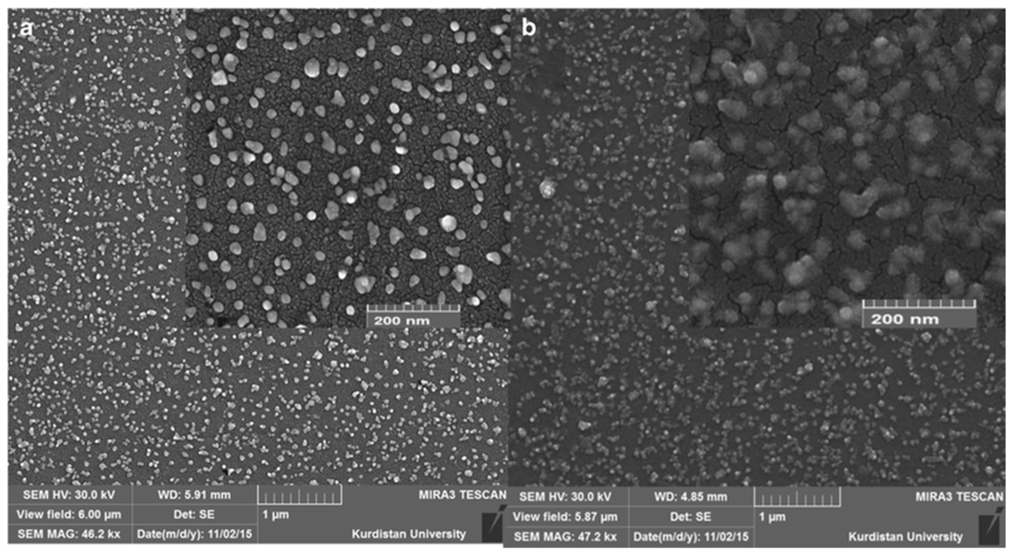 Applsci 09 00797 g001