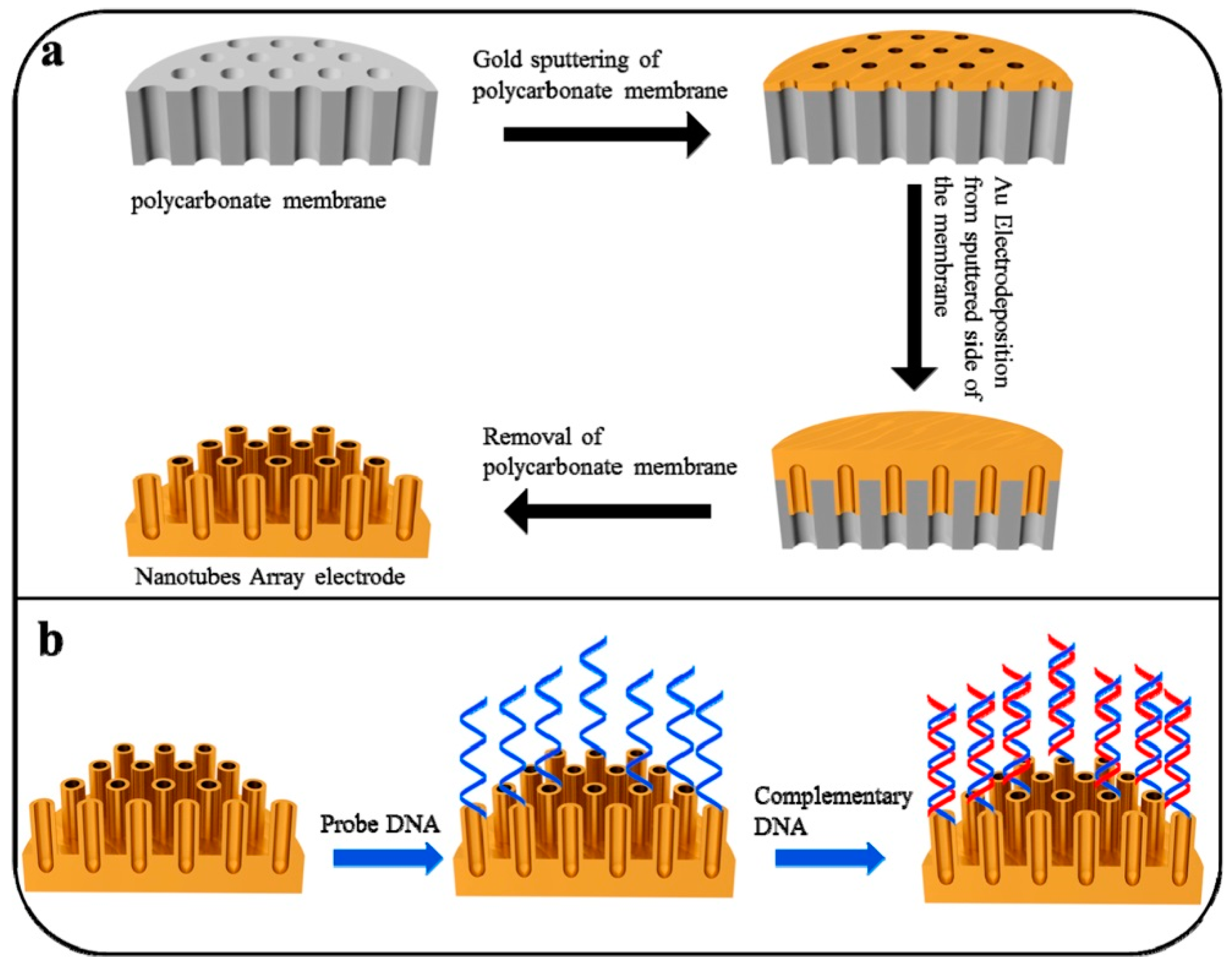 Applsci 09 00797 g006