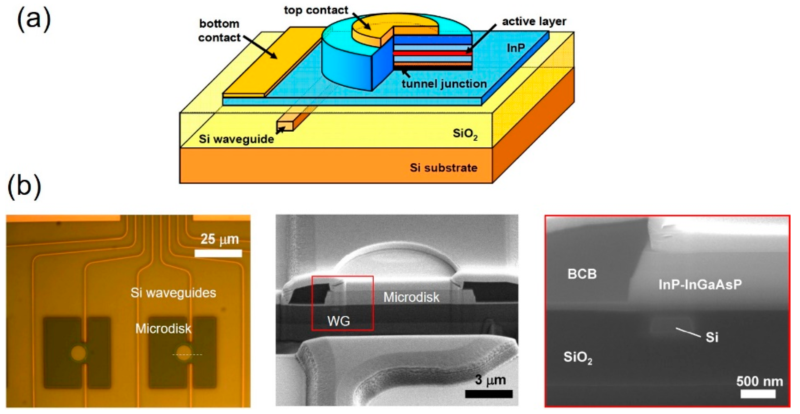 Applsci 09 00802 g011