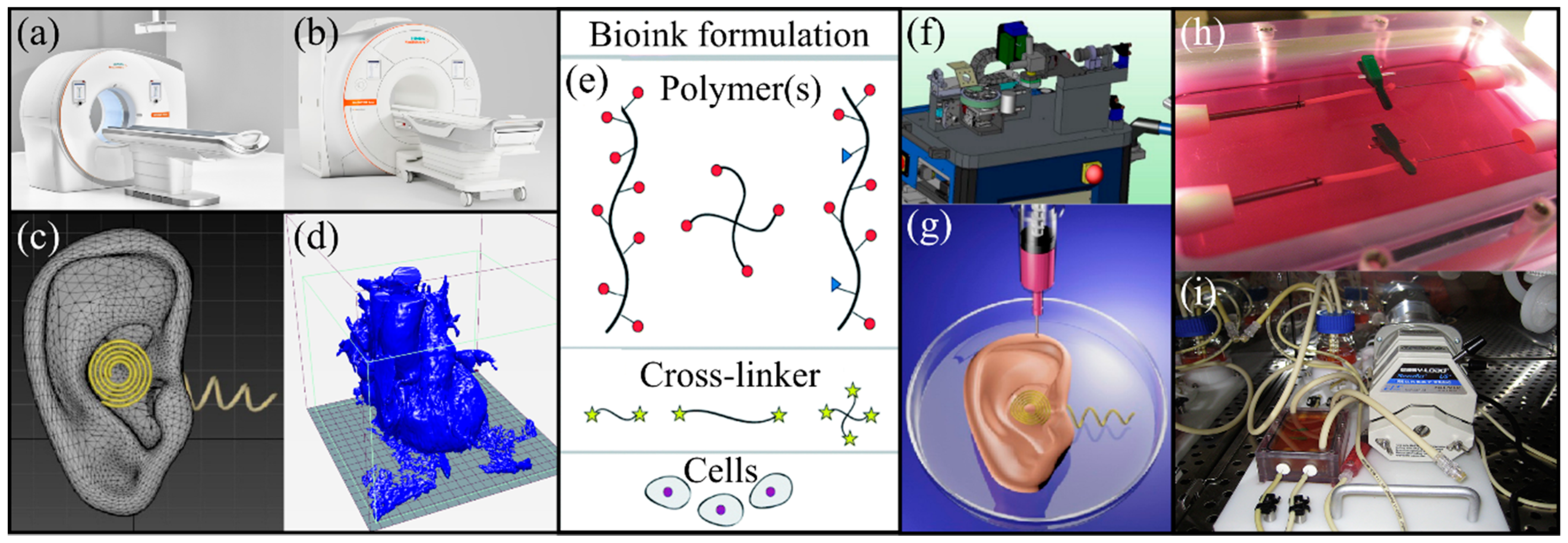 Applsci 09 00811 g001