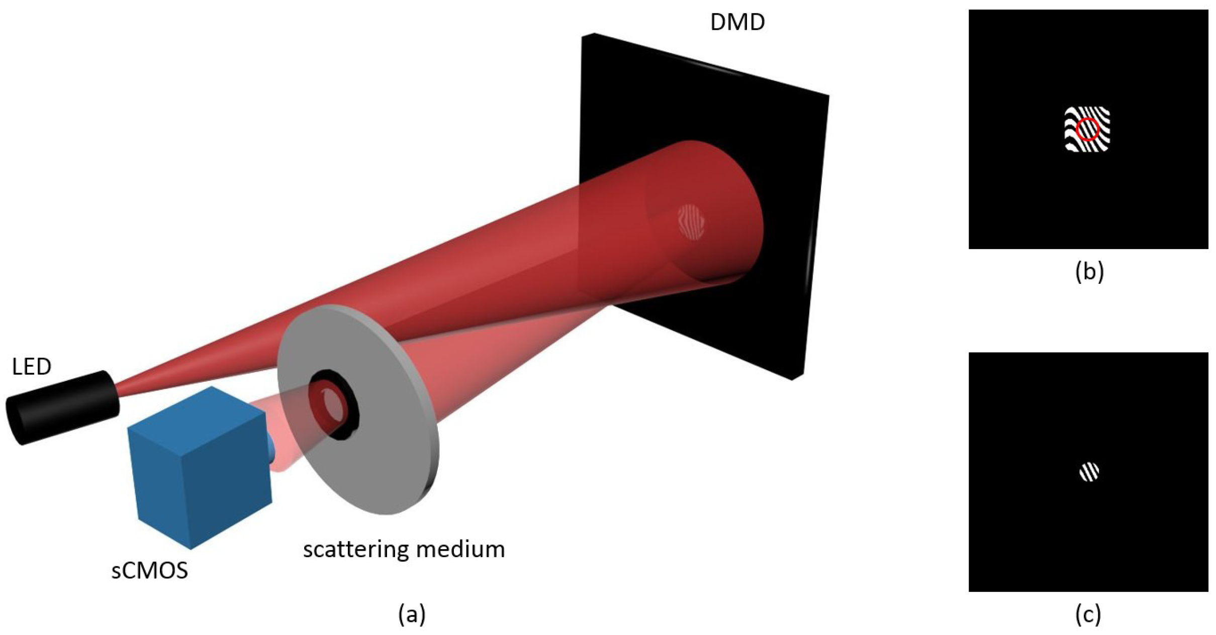 Applsci 09 00849 g002