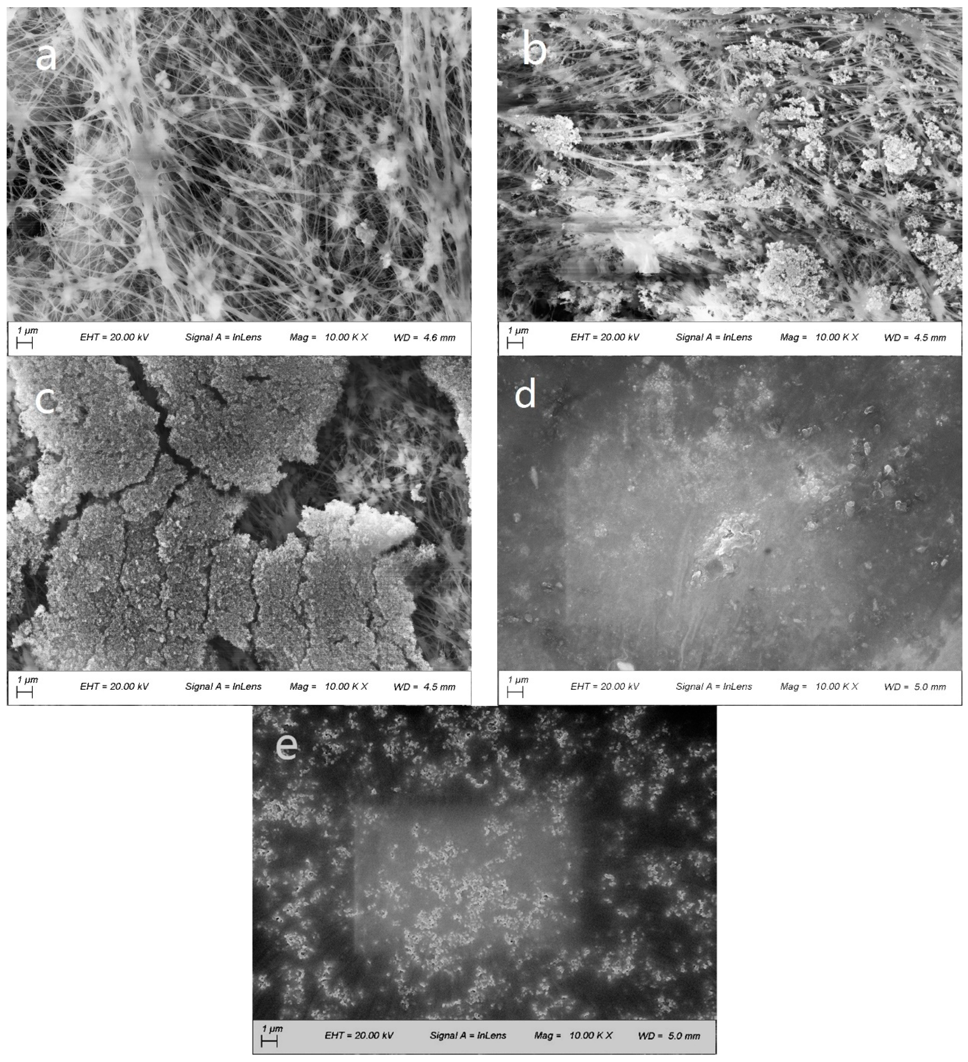 Applsci 09 00855 g003