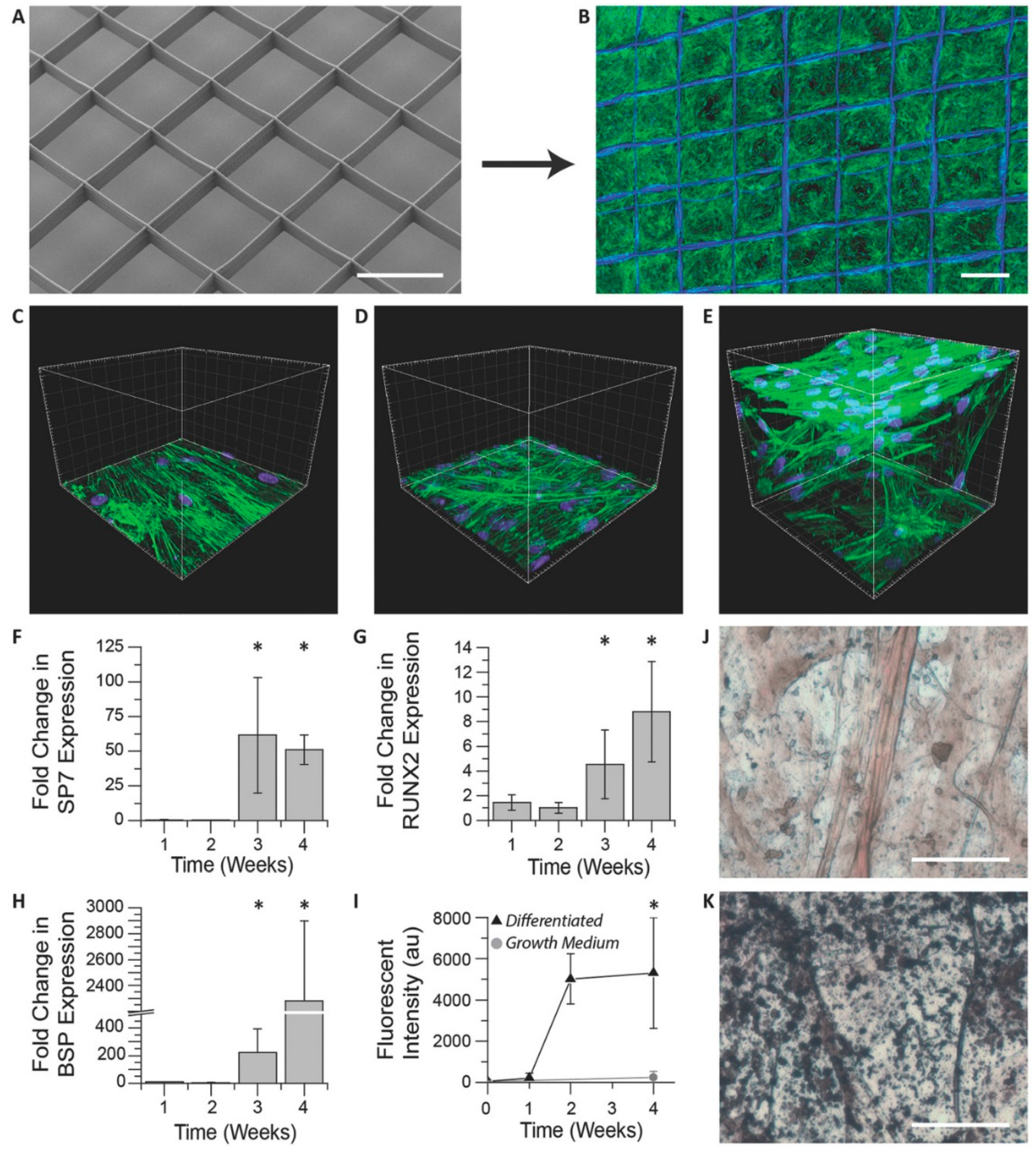 Applsci 09 00910 g001