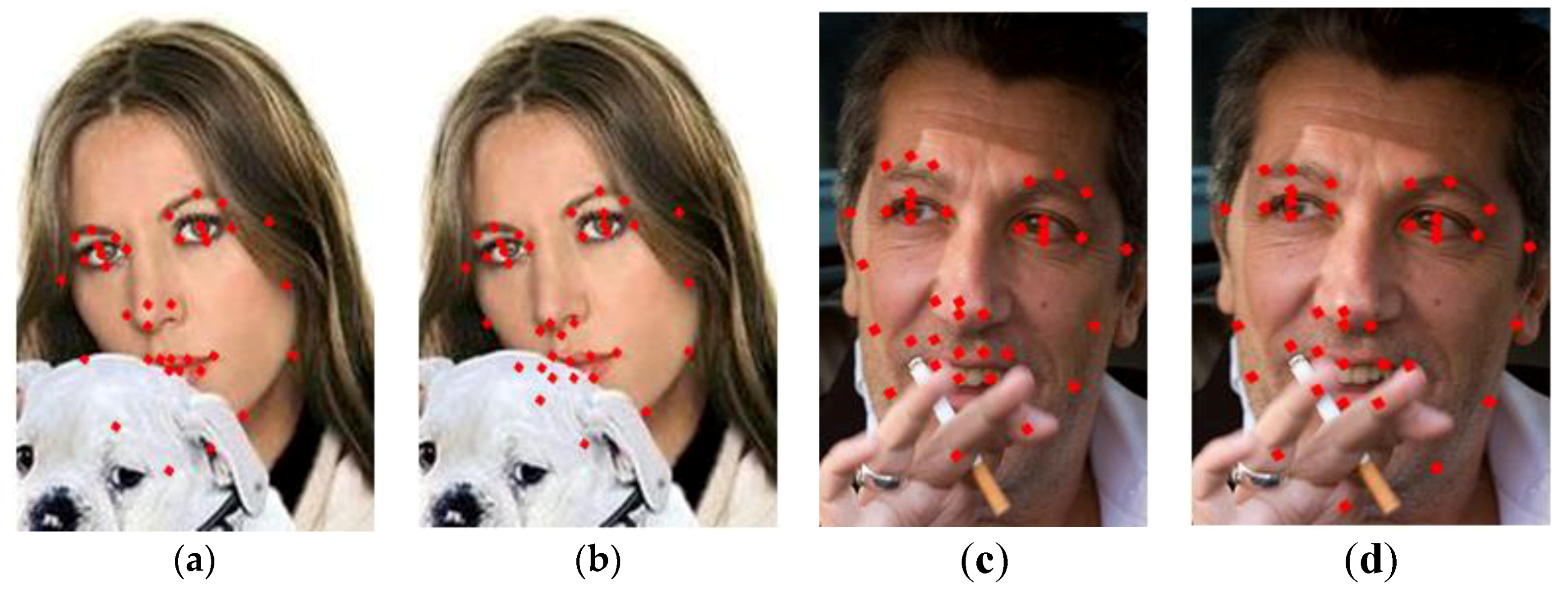 Applsci 09 00977 g012