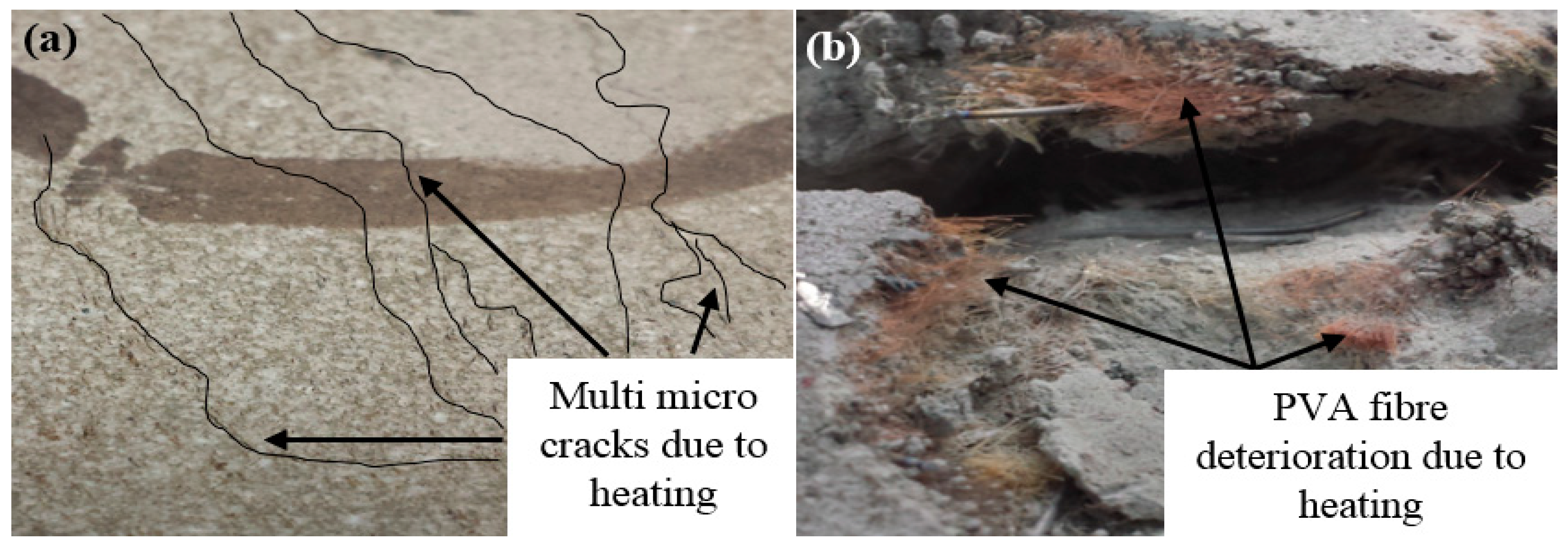 Applsci 09 00994 g010