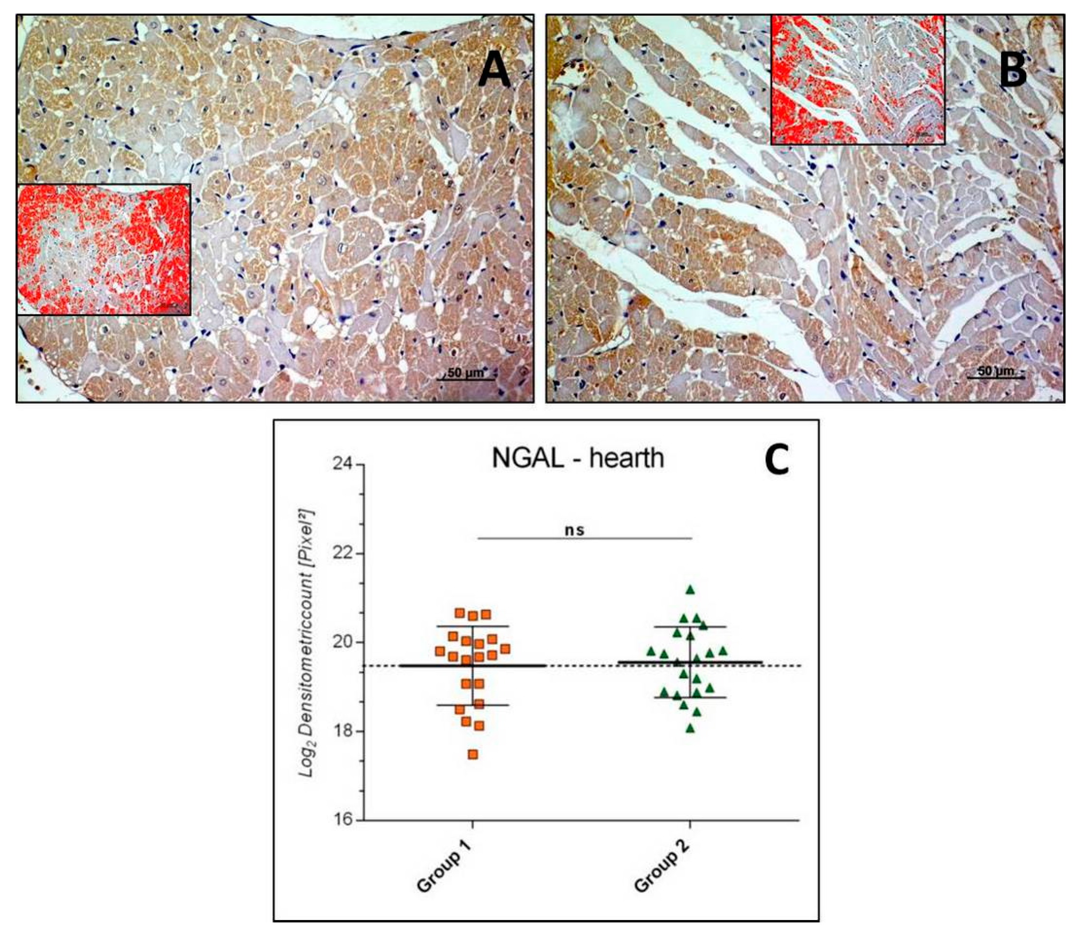 Applsci 09 01041 g003
