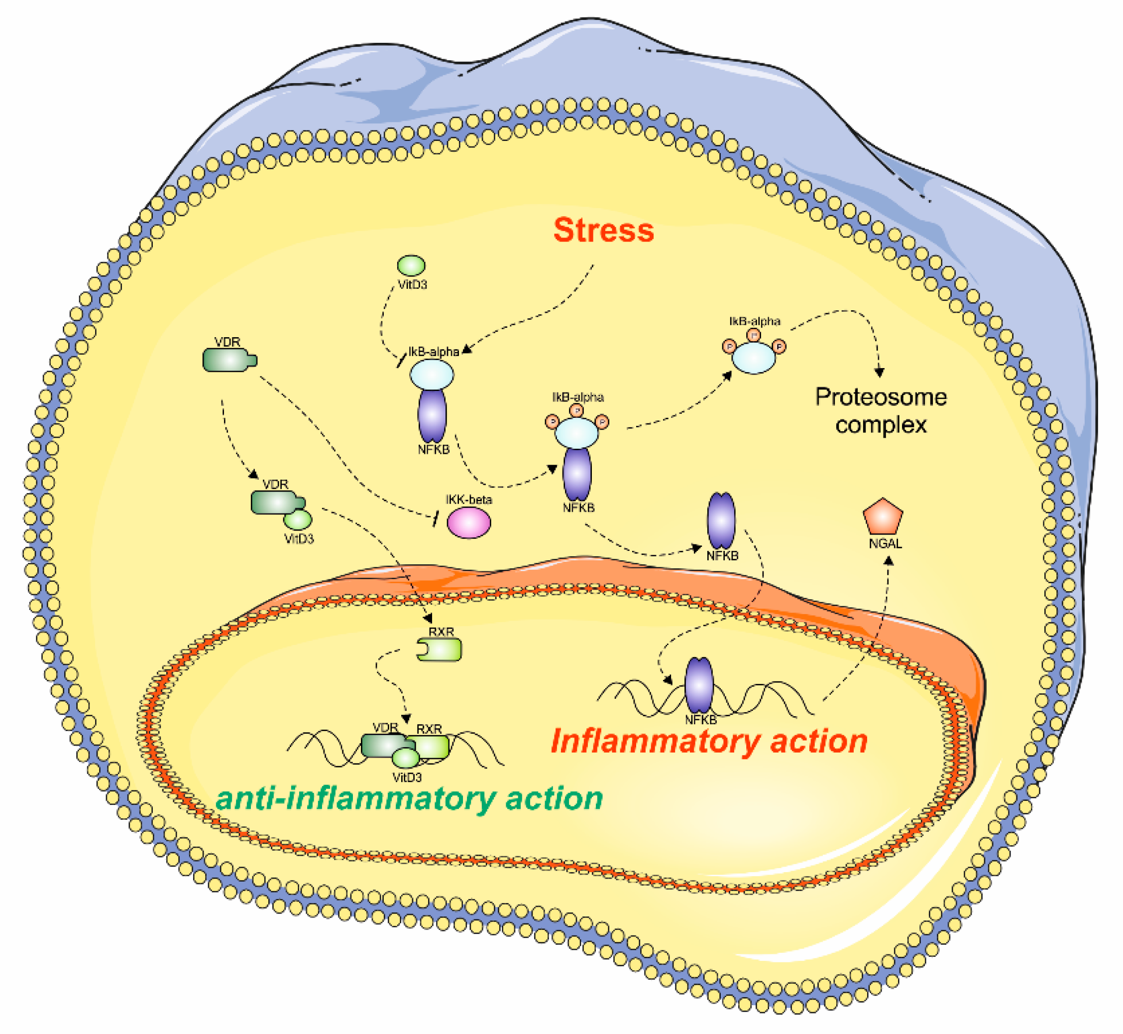 Applsci 09 01041 g005