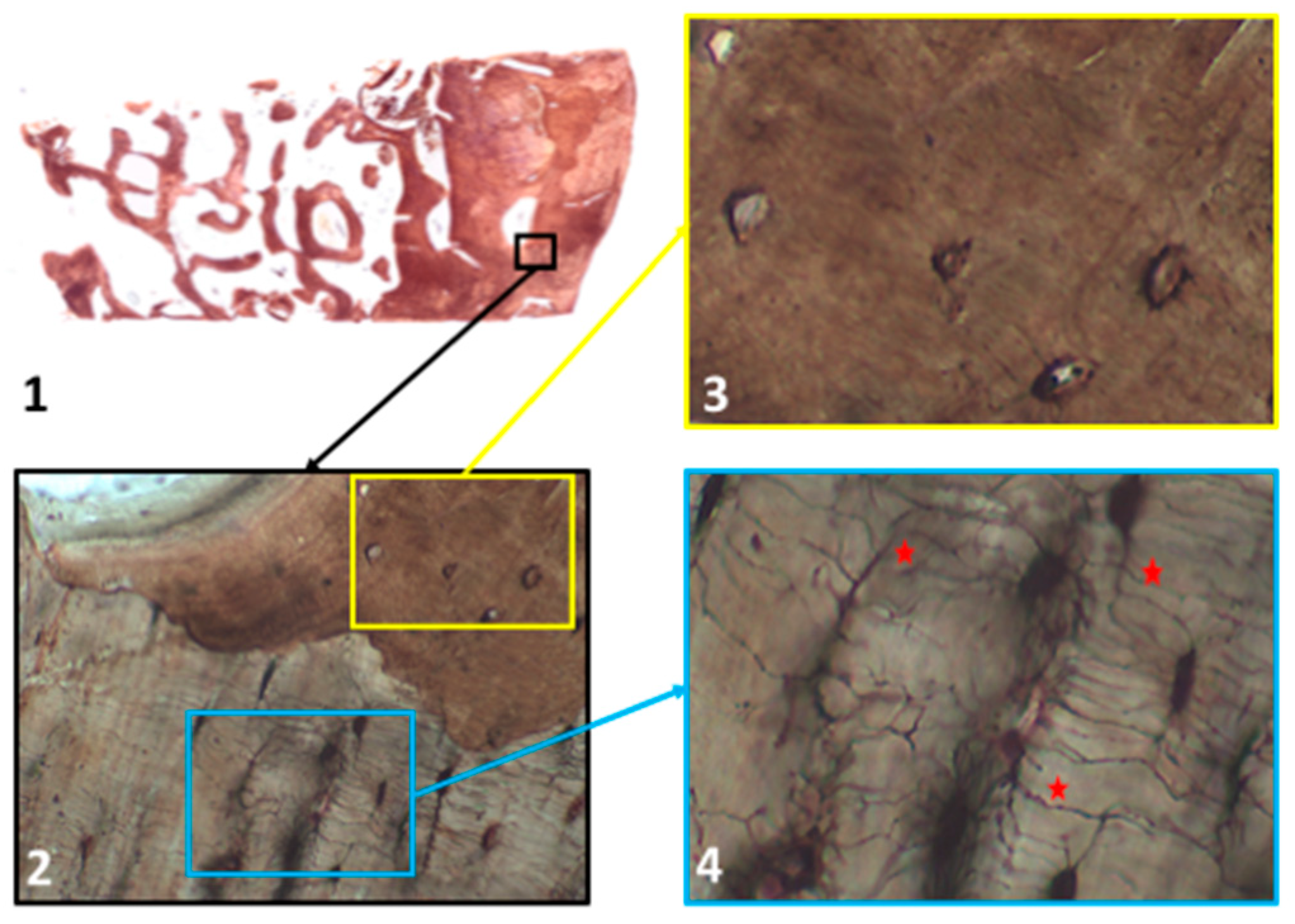 Applsci 09 01119 g003