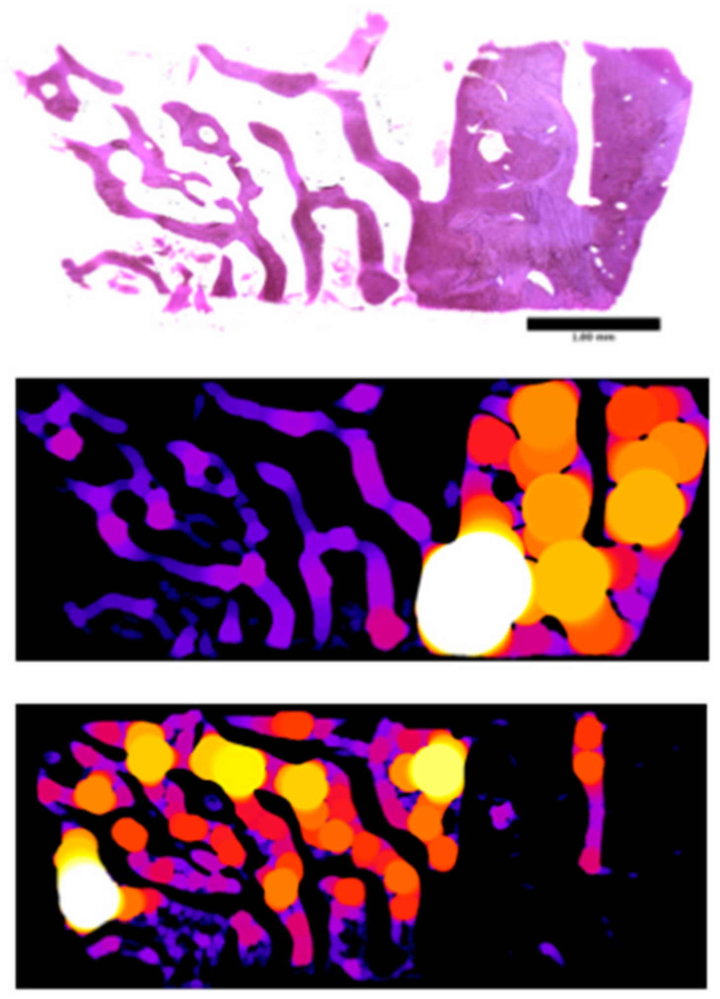 Applsci 09 01119 g005