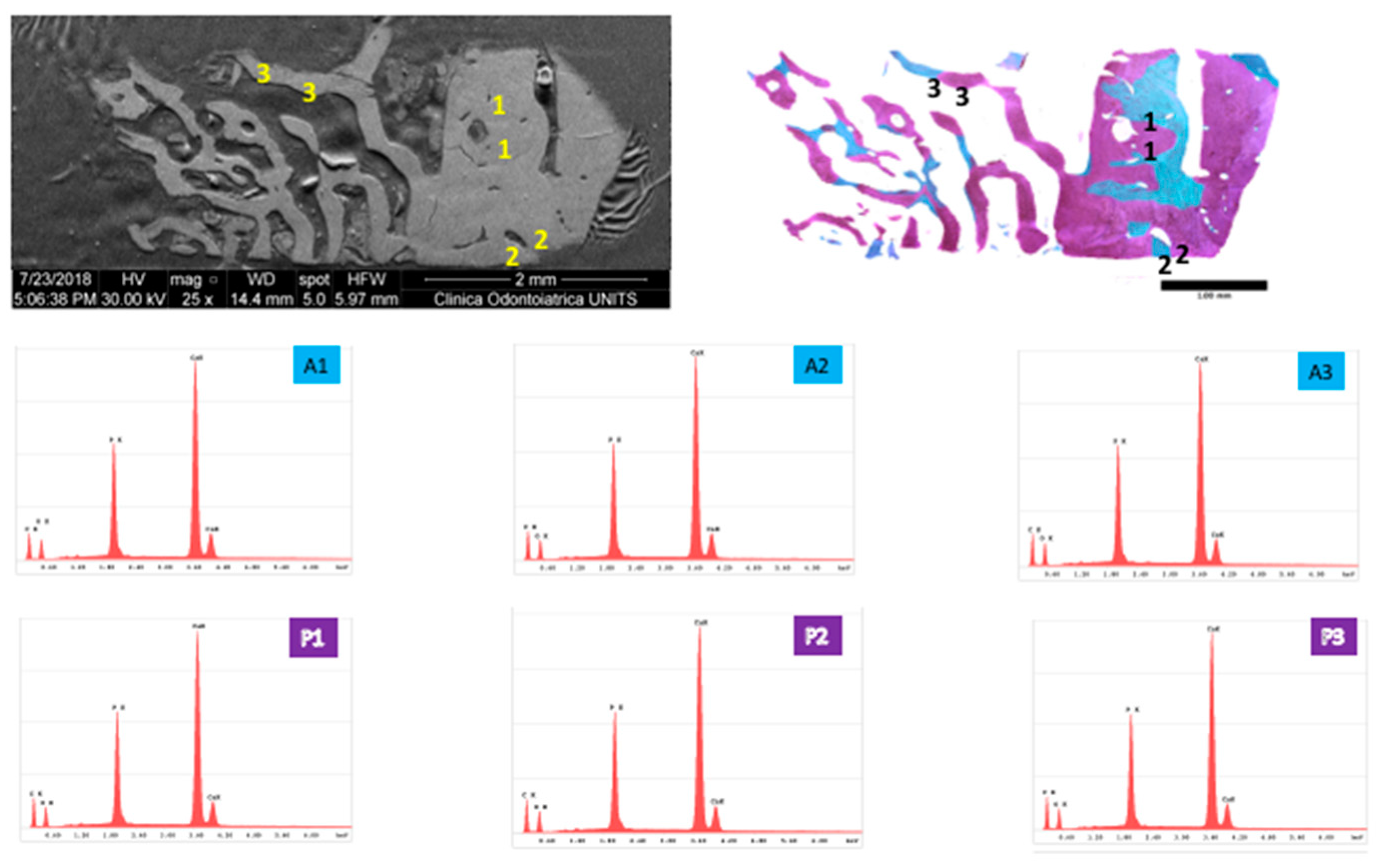 Applsci 09 01119 g007