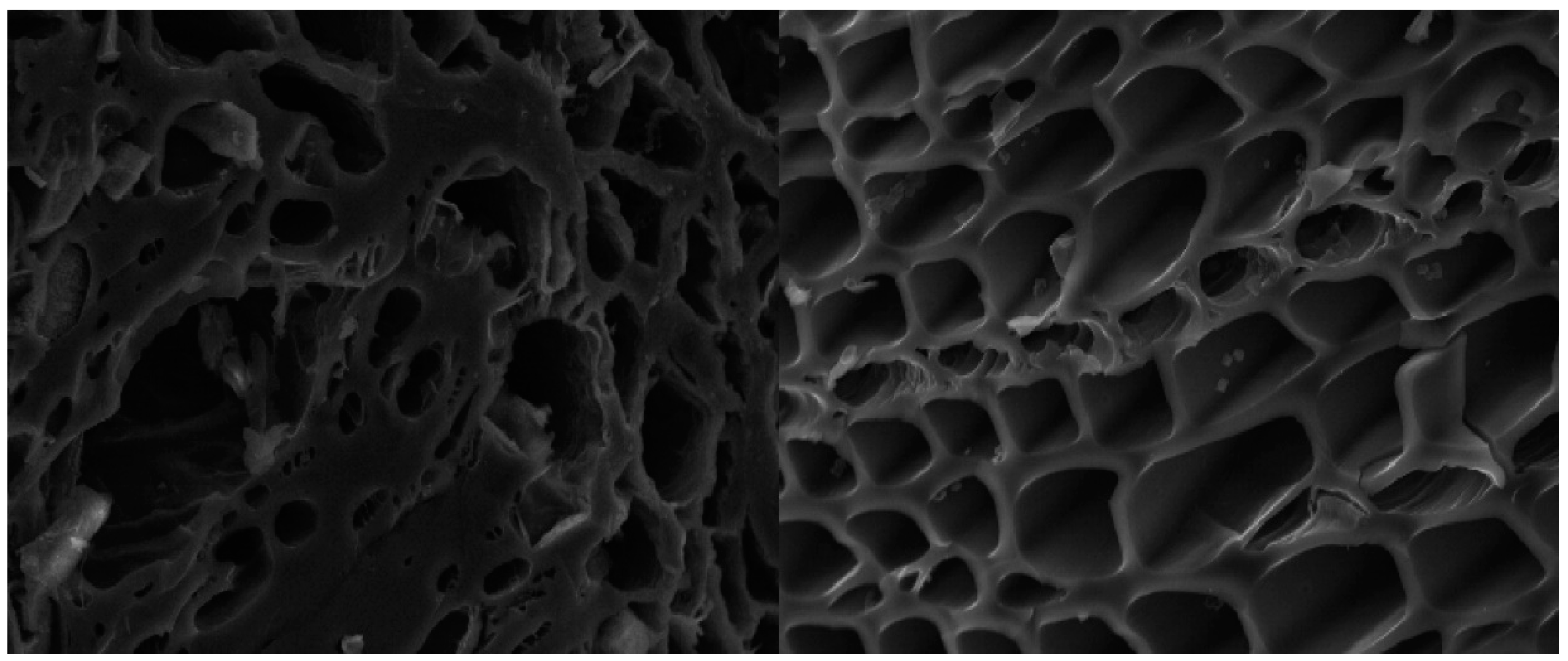 Applsci 09 01139 g001