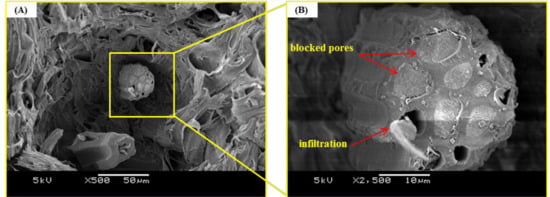 Applsci 09 01149 g004a Applsci 09 01149 g004a