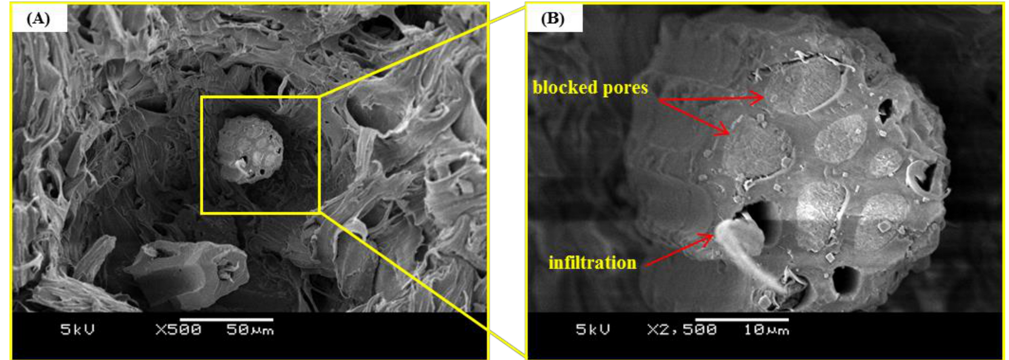 Applsci 09 01149 g004a Applsci 09 01149 g004a