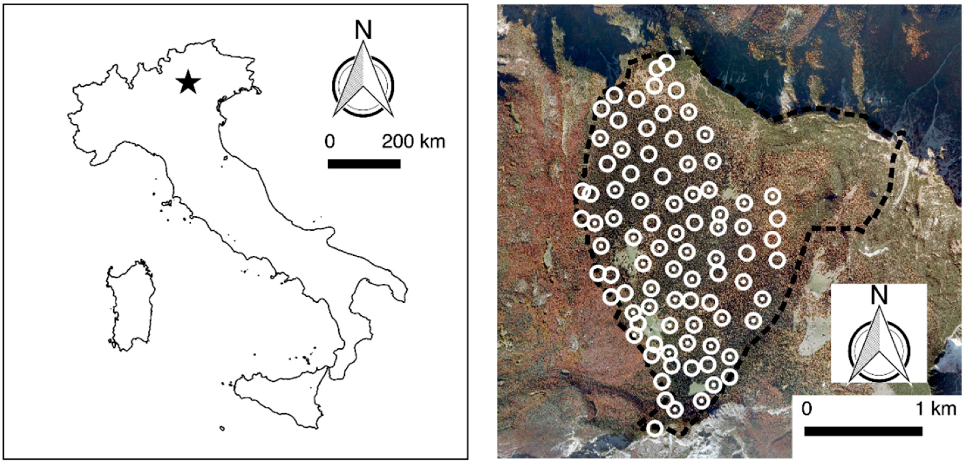 Applsci 09 01164 g001