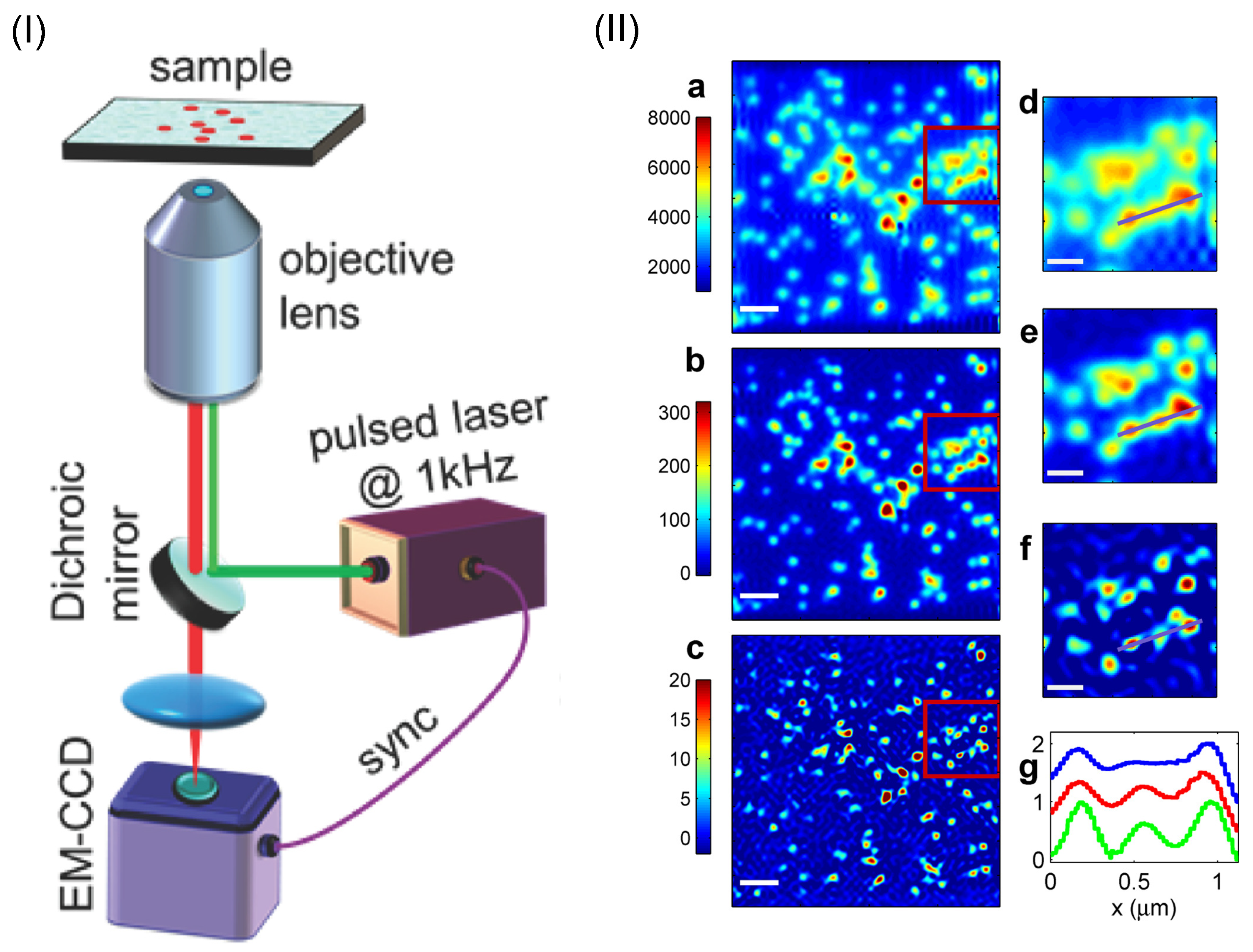 Applsci 09 01166 g005