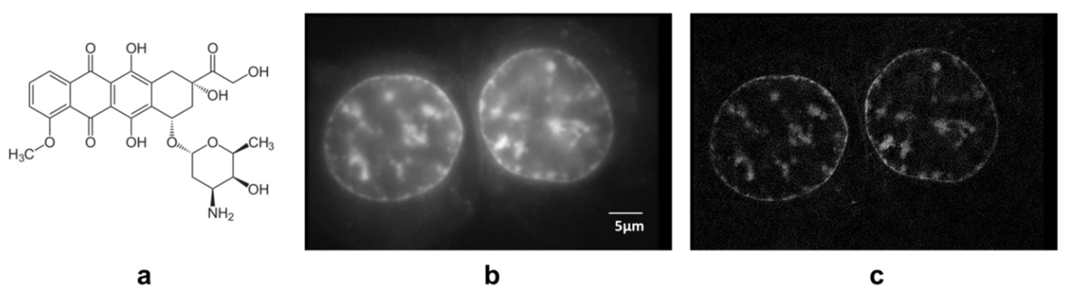 Applsci 09 01188 g005