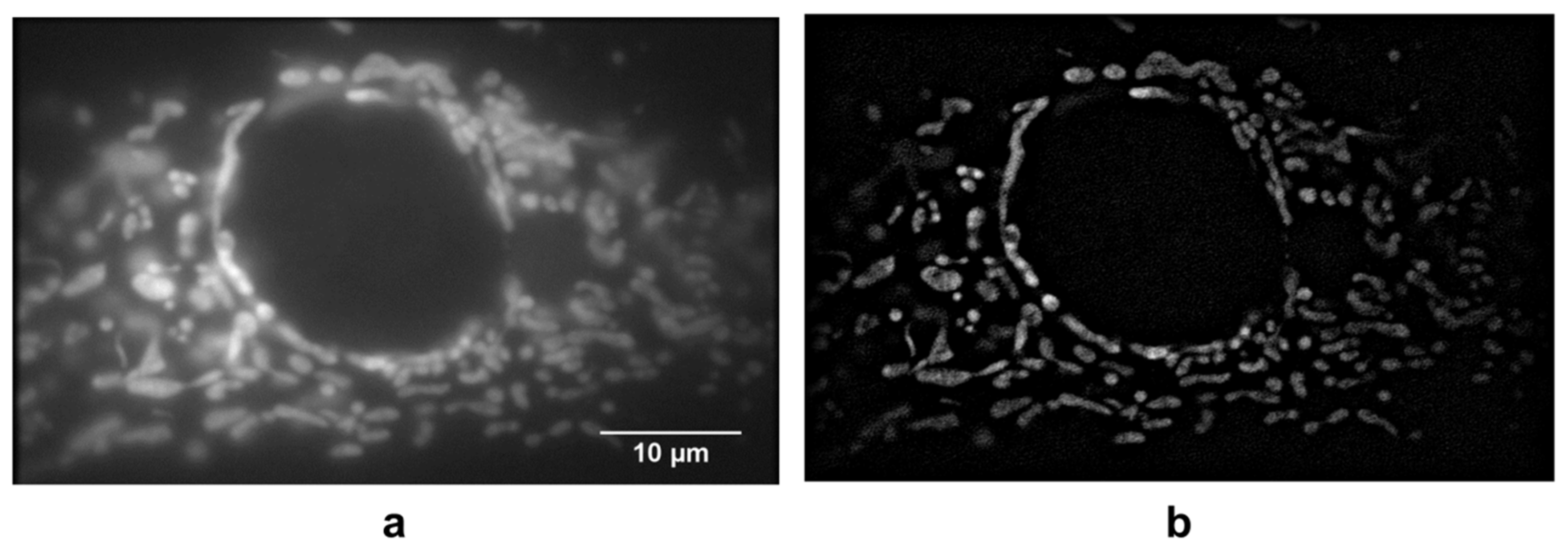 Applsci 09 01188 g006